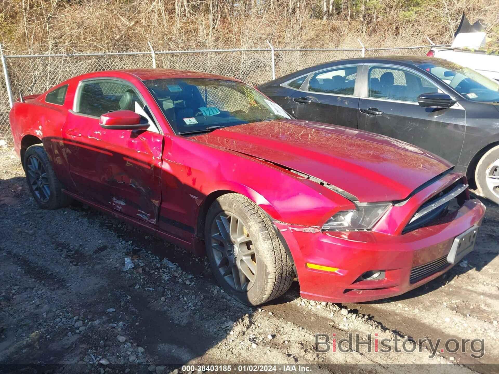 Photo 1ZVBP8AM5E5325545 - FORD MUSTANG 2014