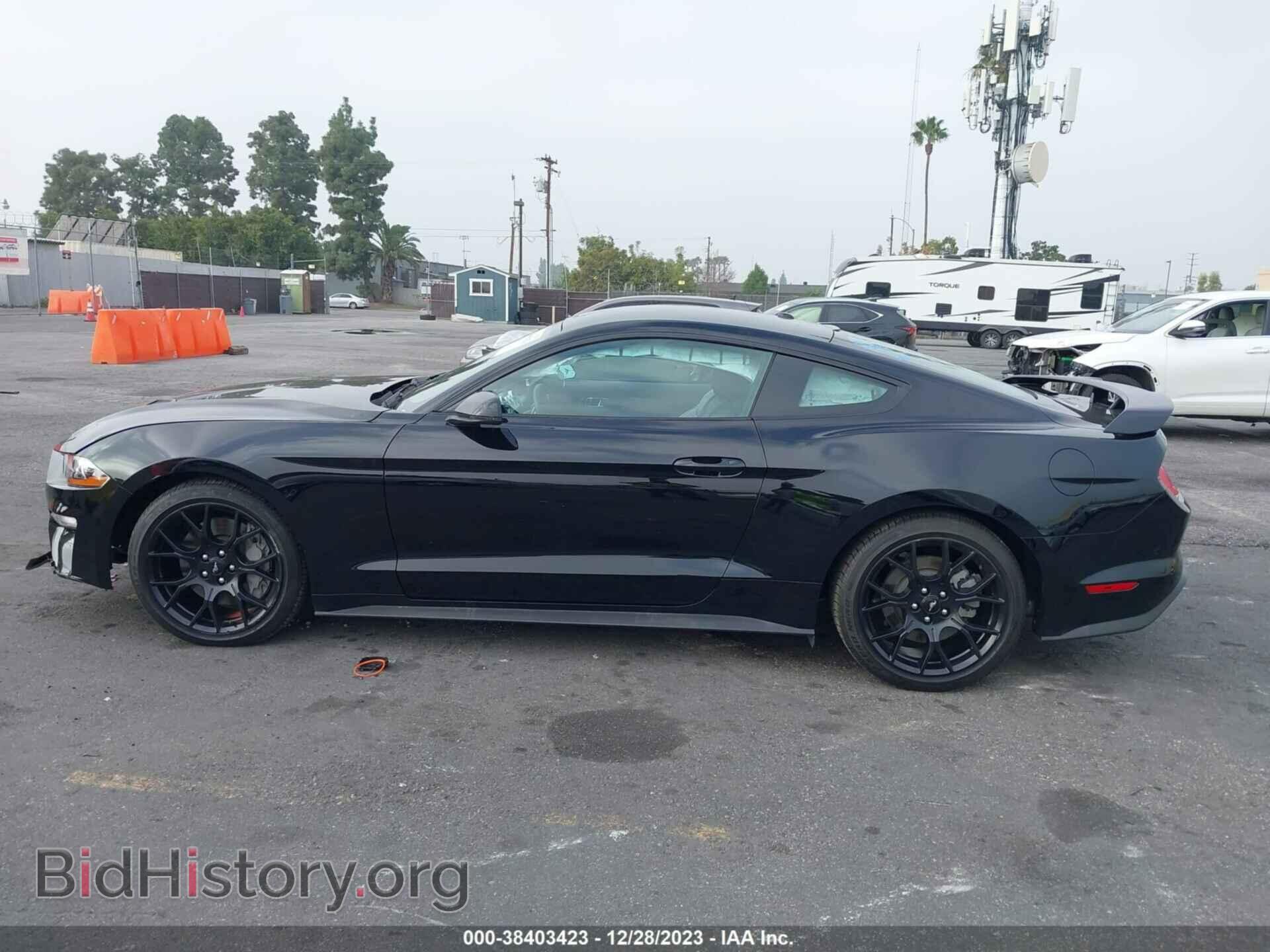 2019 FORD MUSTANG - VIN: 1FA6P8TH7K5112313 - Фото 14