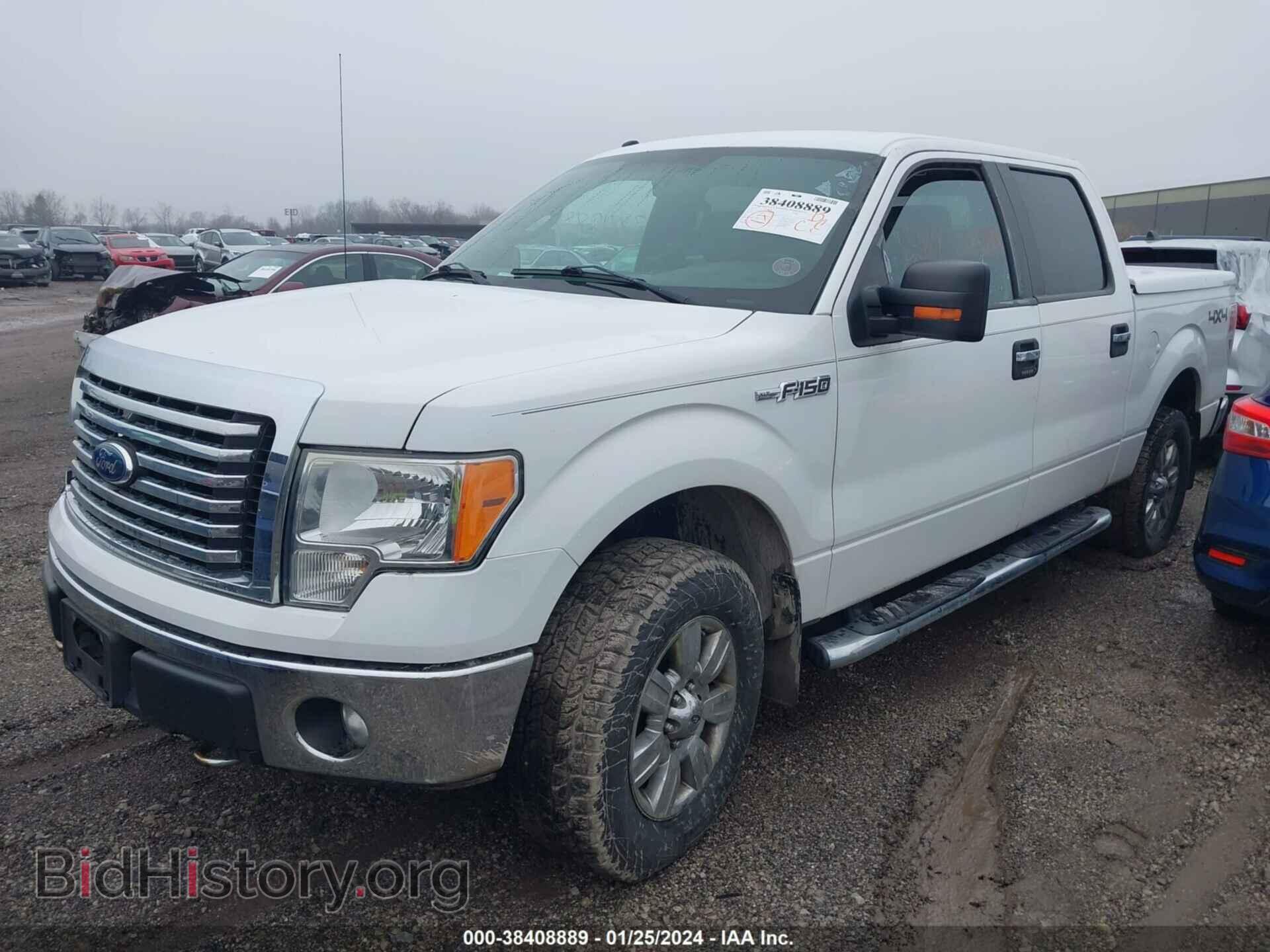 2012 FORD F-150 - VIN: 1FTFW1EF0CKD28667 - Фото 2