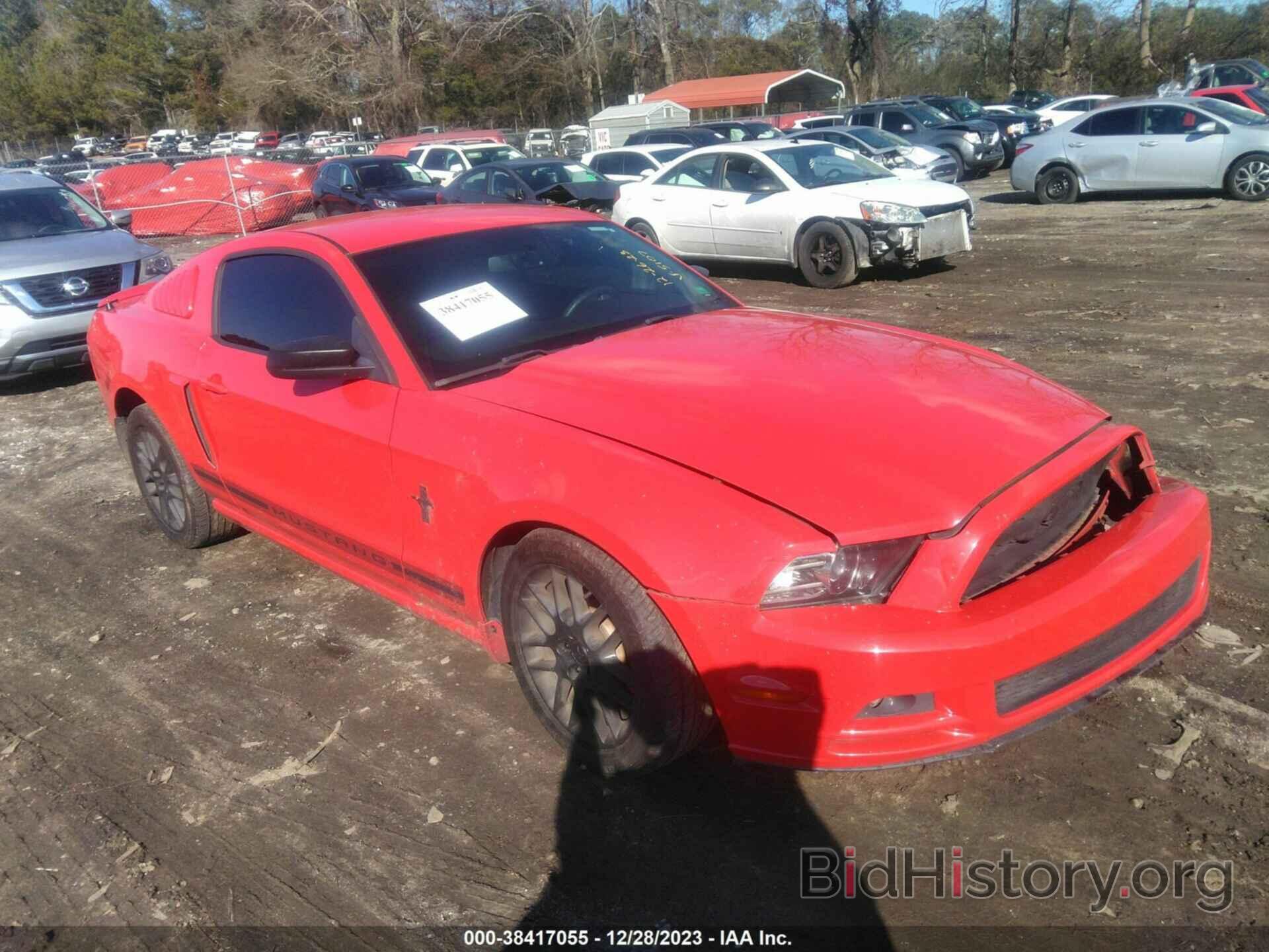 Photo 1ZVBP8AM8D5205107 - FORD MUSTANG 2013