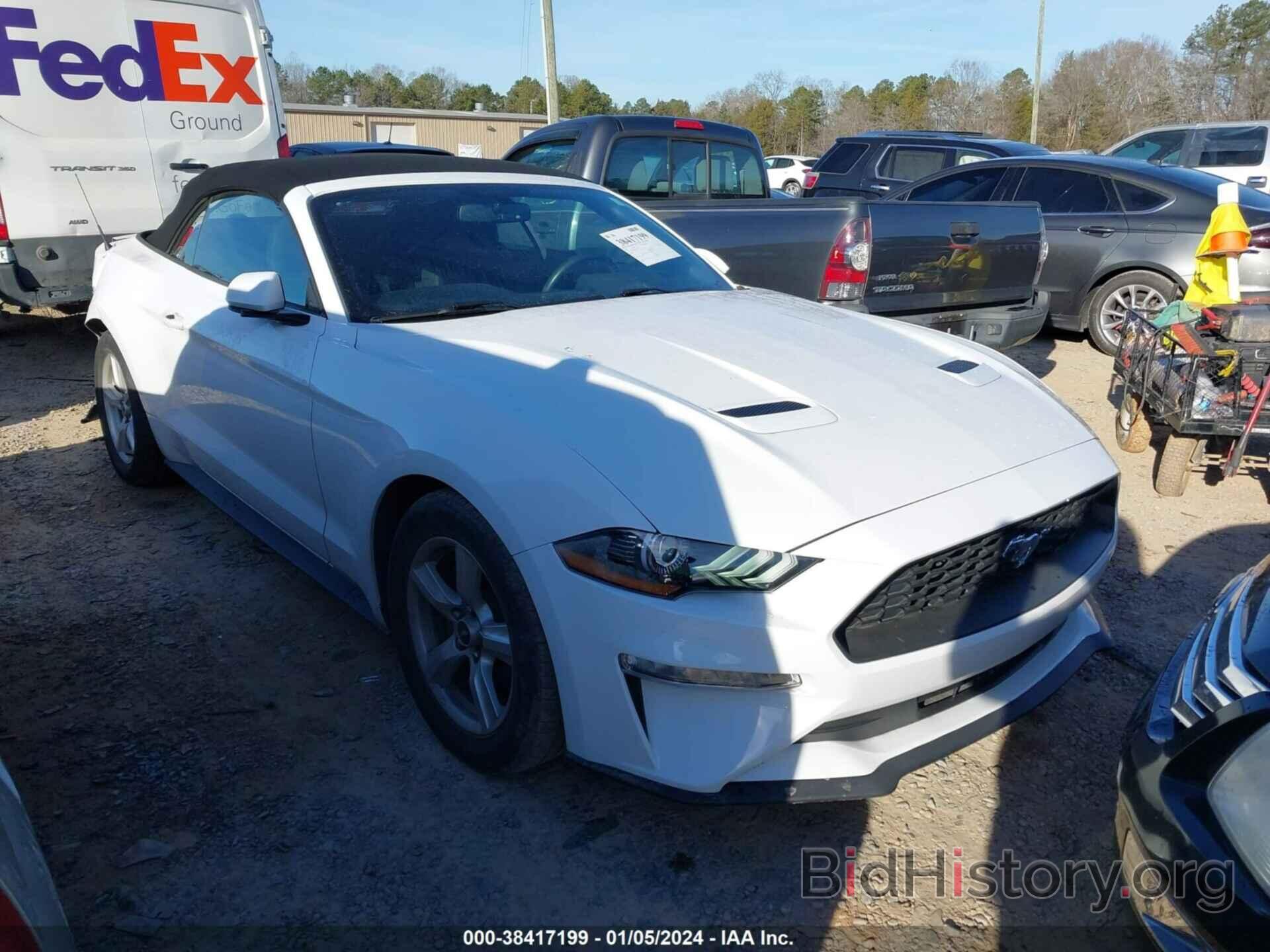 Photo 1FATP8UH6K5116452 - FORD MUSTANG 2019