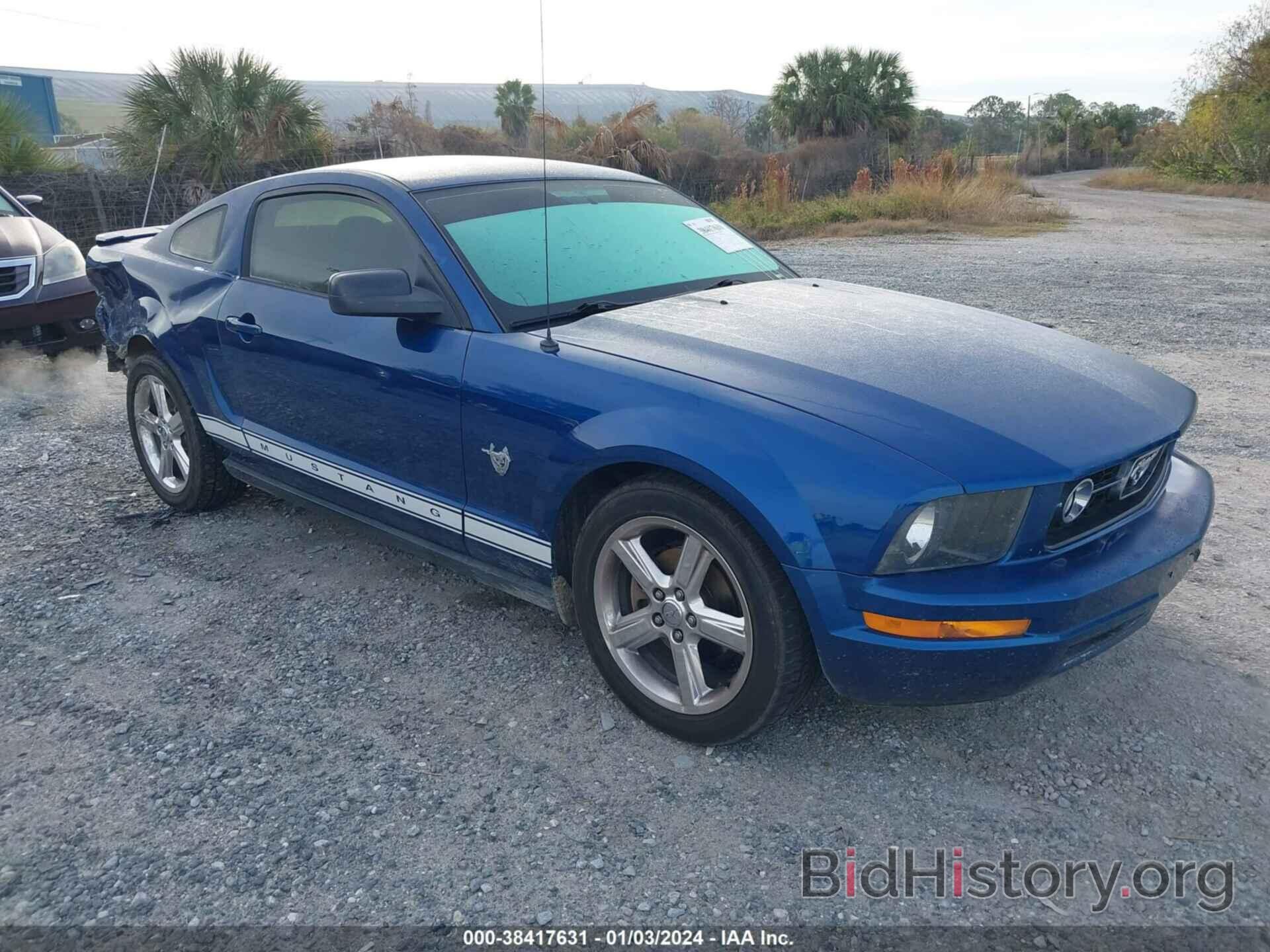 Photo 1ZVHT80N195110184 - FORD MUSTANG 2009