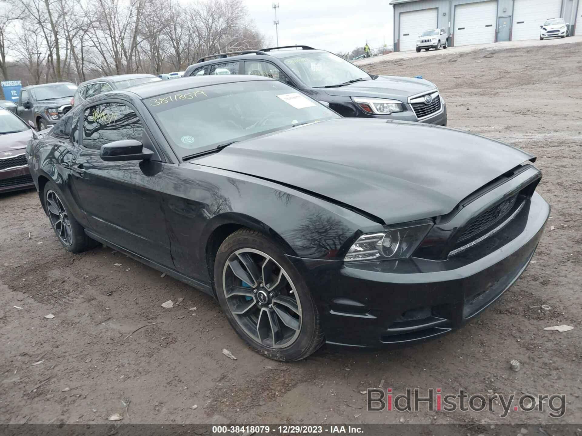 Фотография 1ZVBP8AM2E5283531 - FORD MUSTANG 2014