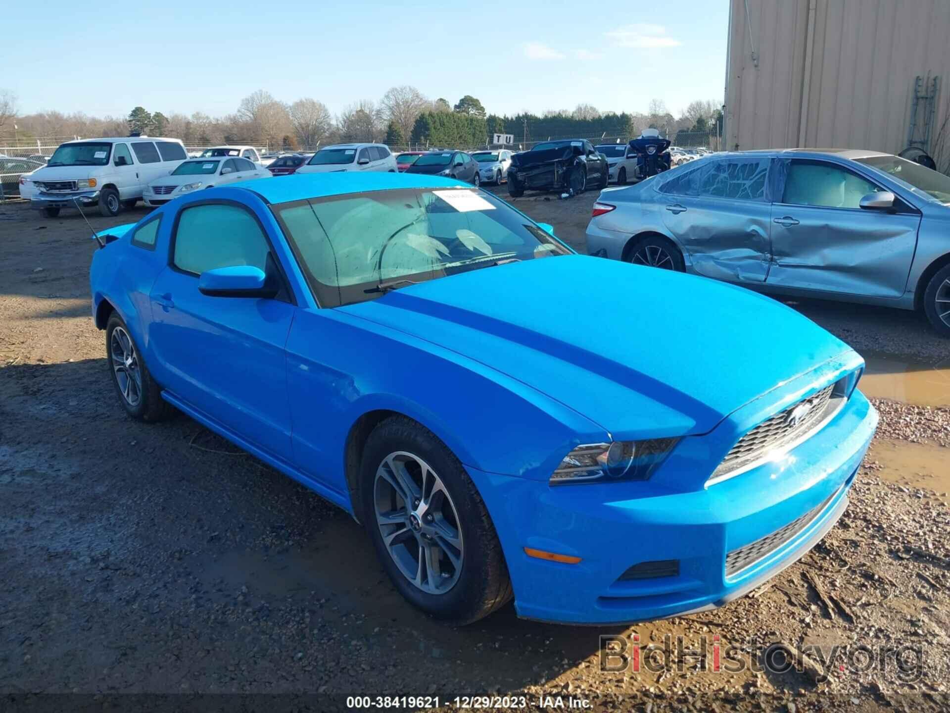 Photo 1ZVBP8AM8D5250130 - FORD MUSTANG 2013