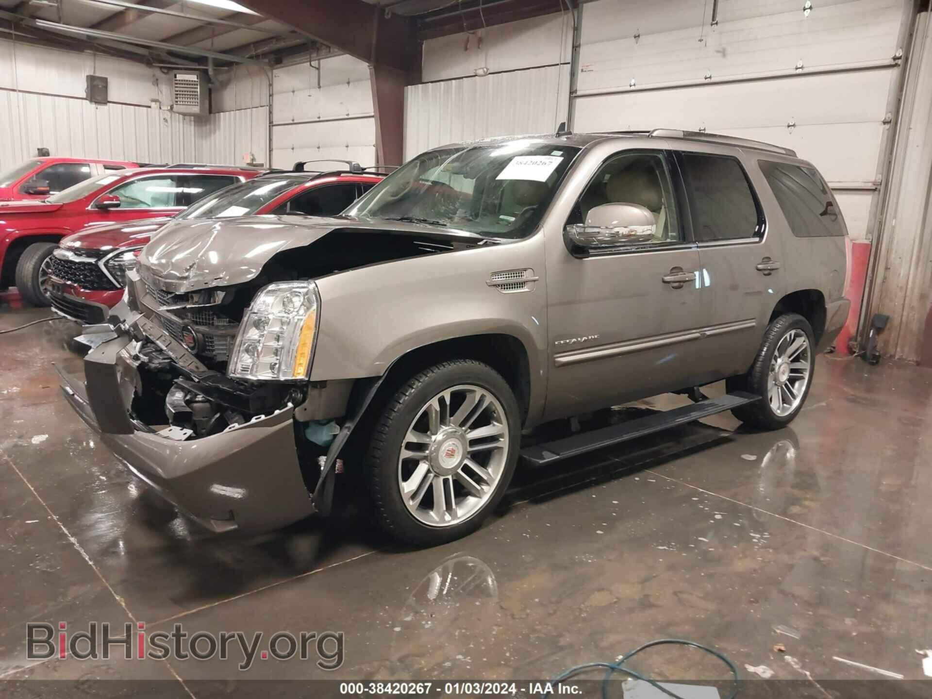 2013 CADILLAC ESCALADE - VIN: 1GYS4CEF1DR238009 - Фото 2