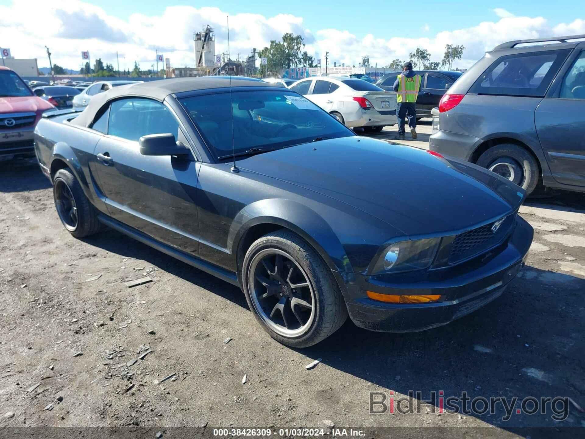 Photo 1ZVFT84N275363321 - FORD MUSTANG 2007