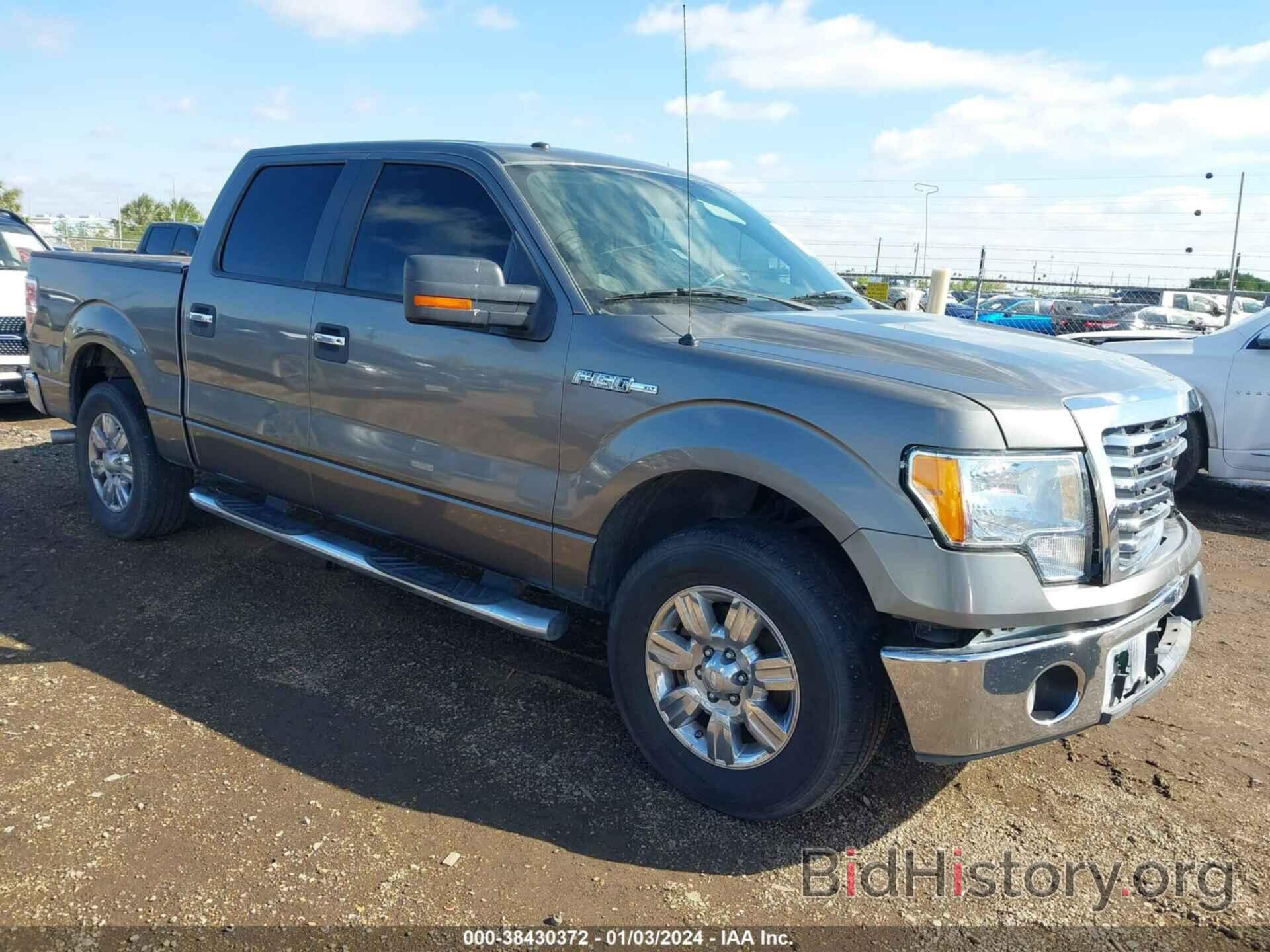 Photo 1FTEW1C80AFB38986 - FORD F-150 2010