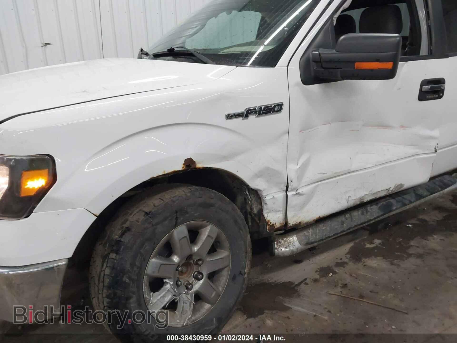 2013 FORD F-150 - VIN: 1FTFX1EF6DFE05890 - Фото 6
