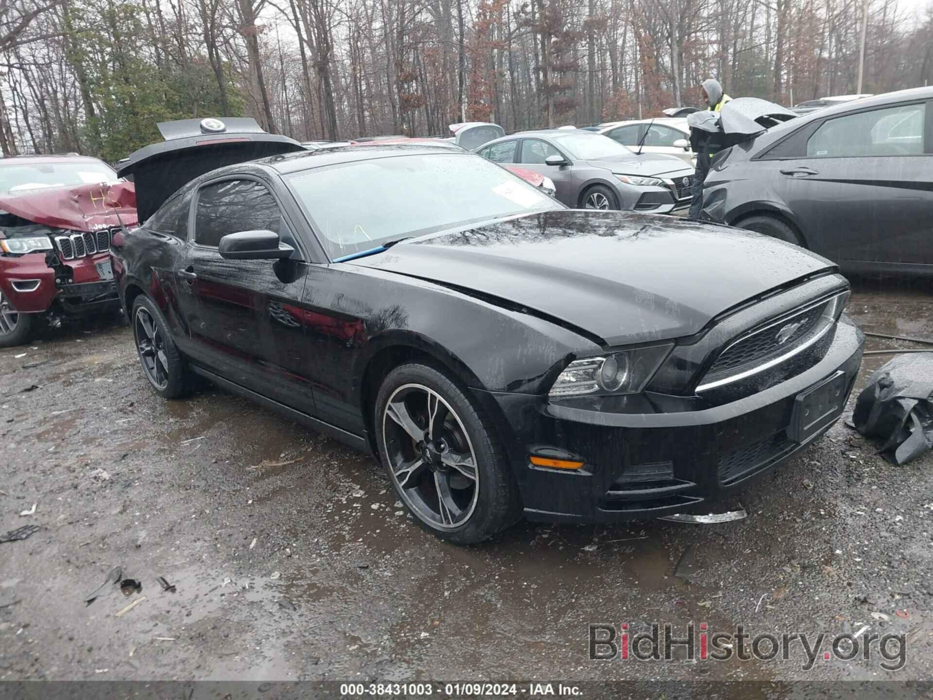 Photo 1ZVBP8AM0D5274129 - FORD MUSTANG 2013