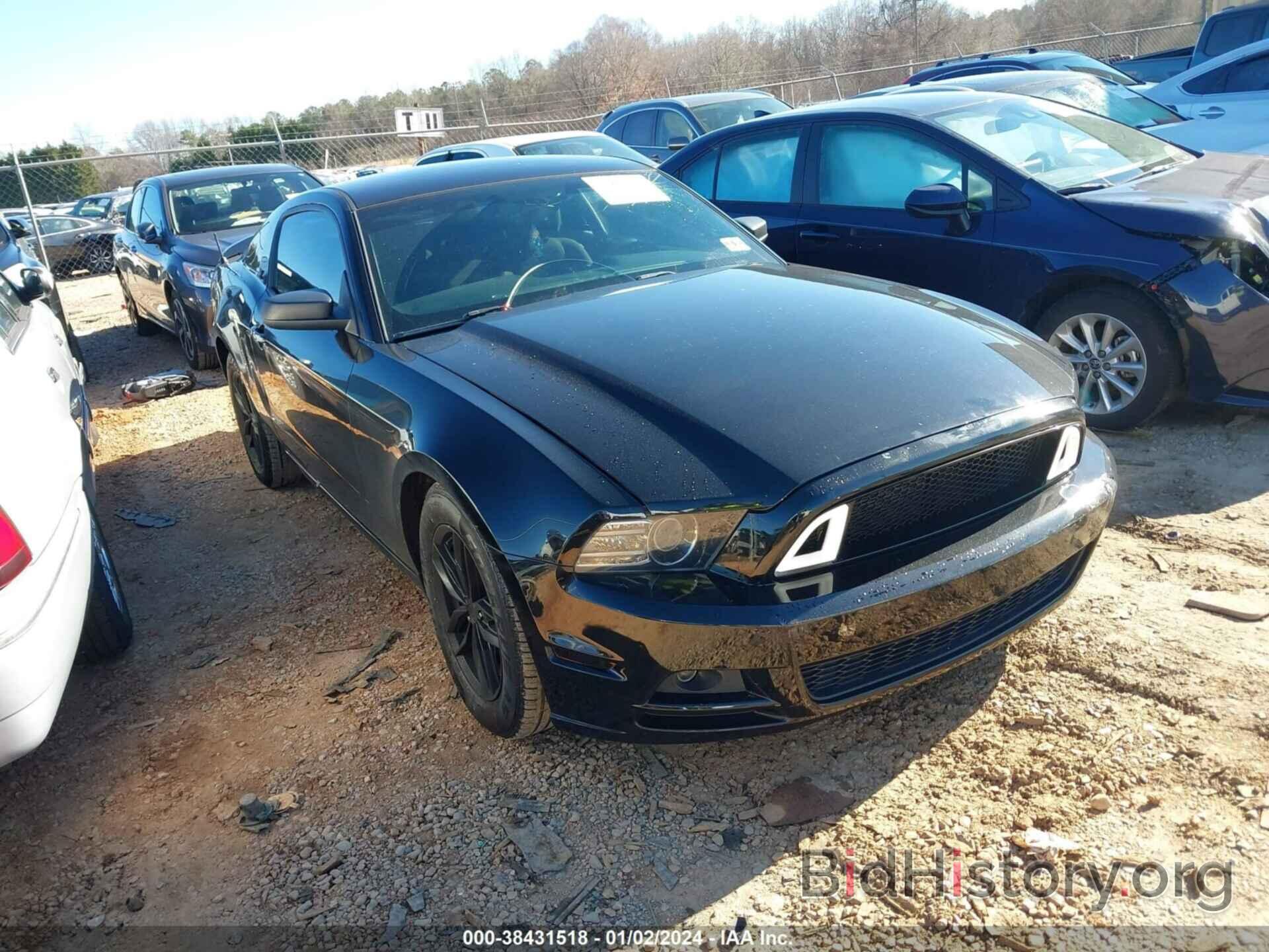 Photo 1ZVBP8AM5E5207138 - FORD MUSTANG 2014