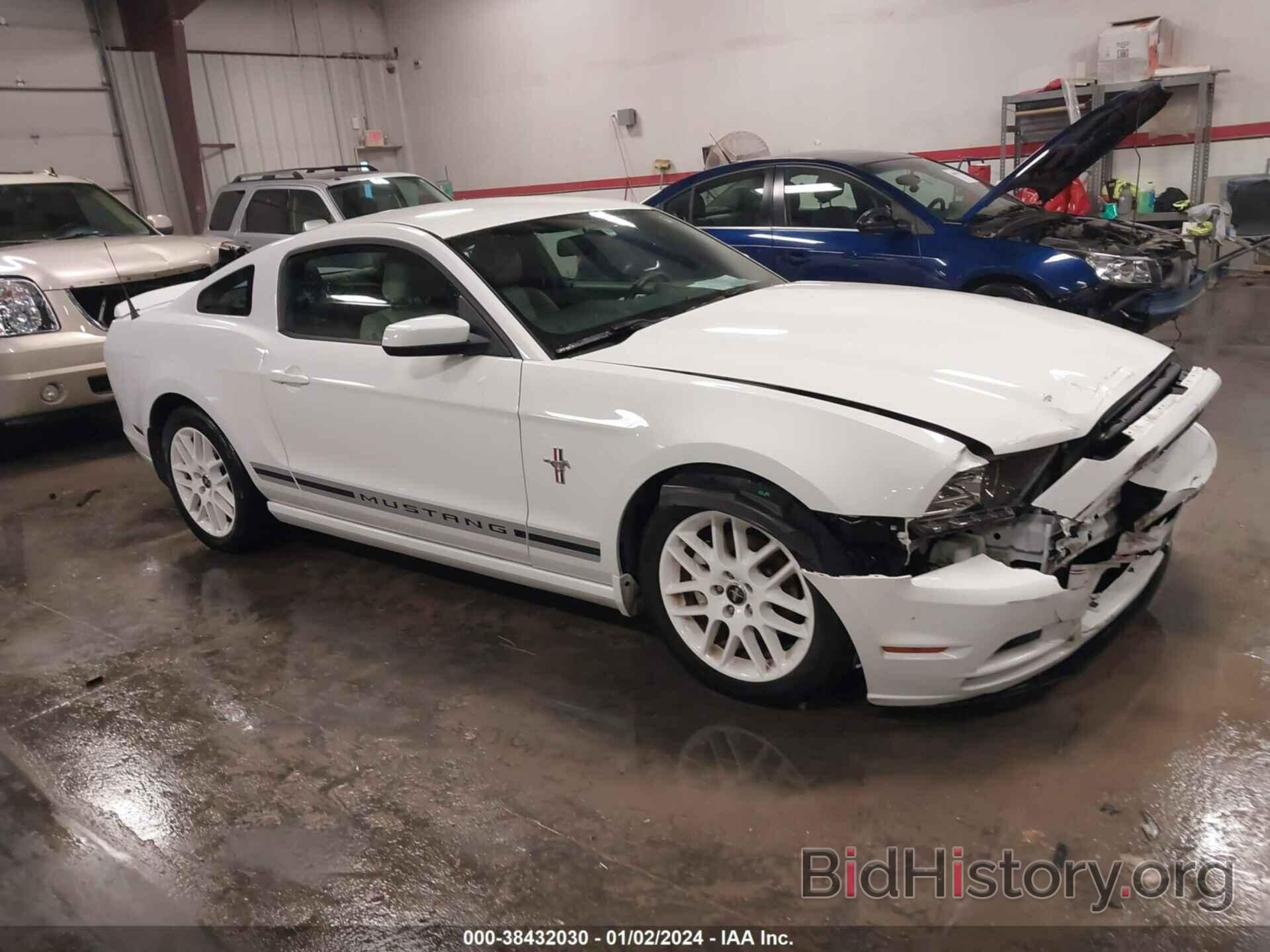 Photo 1ZVBP8AM9E5331669 - FORD MUSTANG 2014