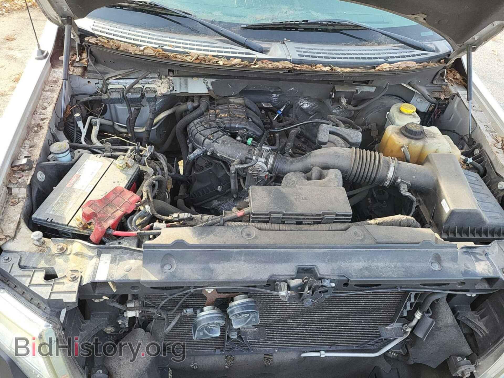2014 FORD F150 - VIN: 1FTMF1CM4EKE73531 - Фото 12
