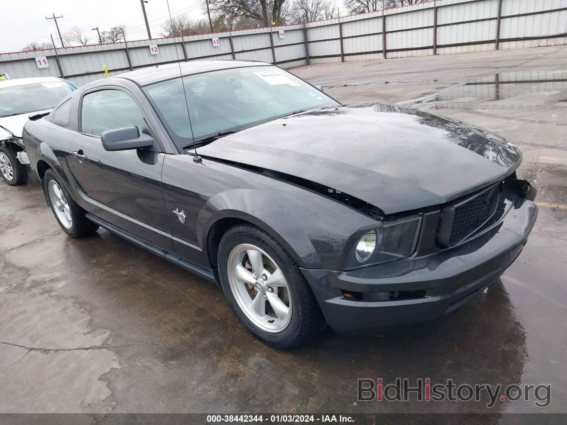 Фотография 1ZVHT80N995137729 - FORD MUSTANG 2009