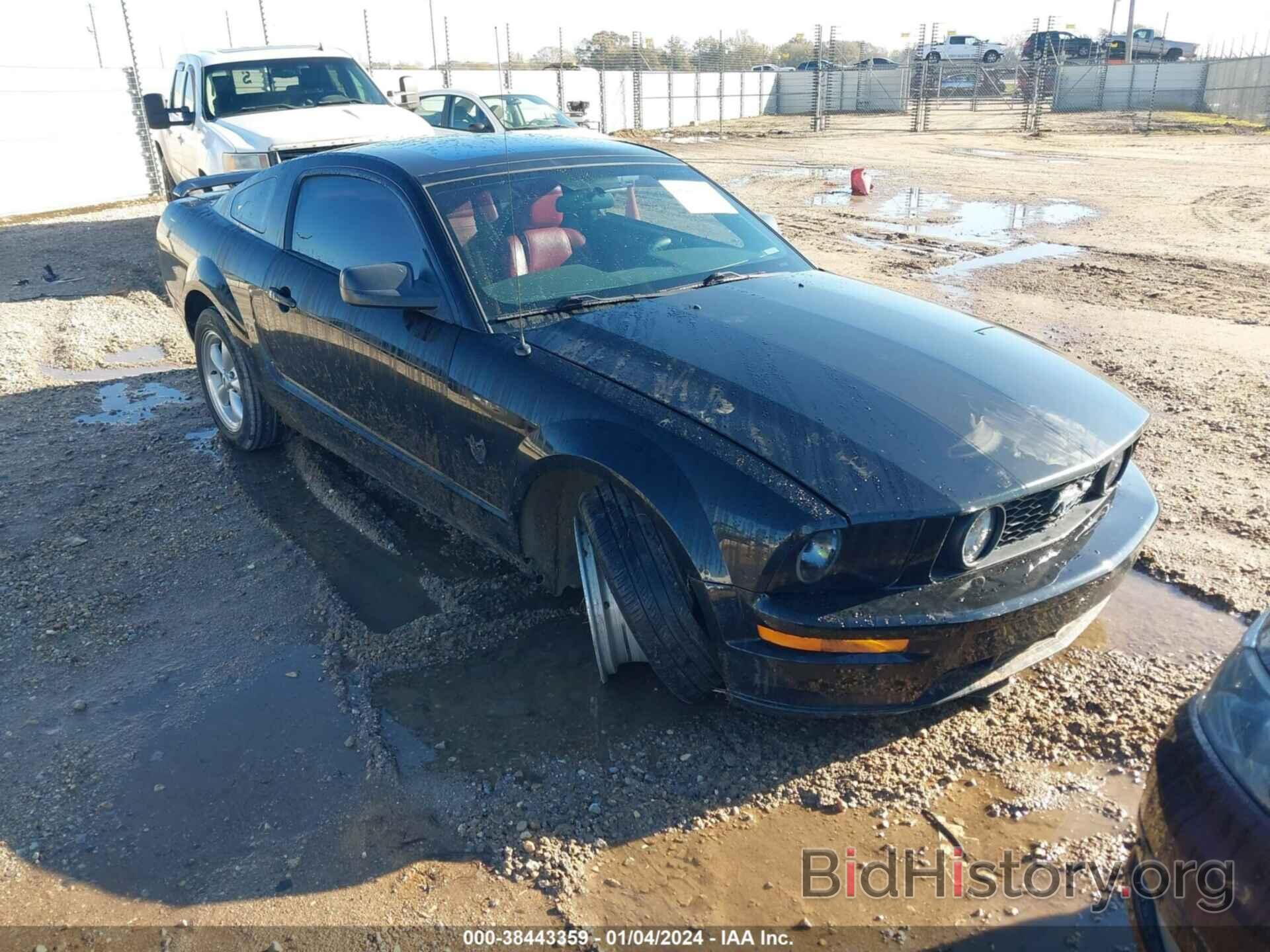 Photo 1ZVHT82H395126331 - FORD MUSTANG 2009