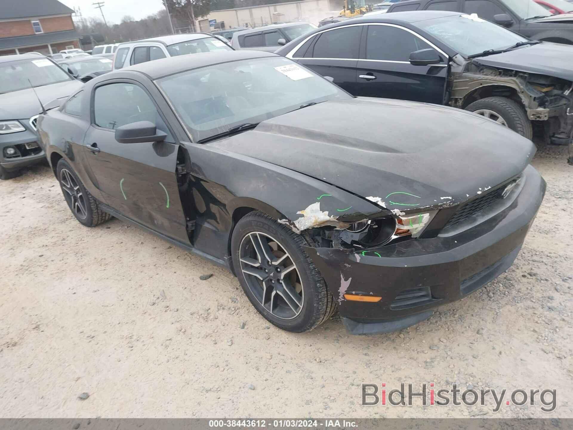 Photo 1ZVBP8AM9B5102050 - FORD MUSTANG 2011