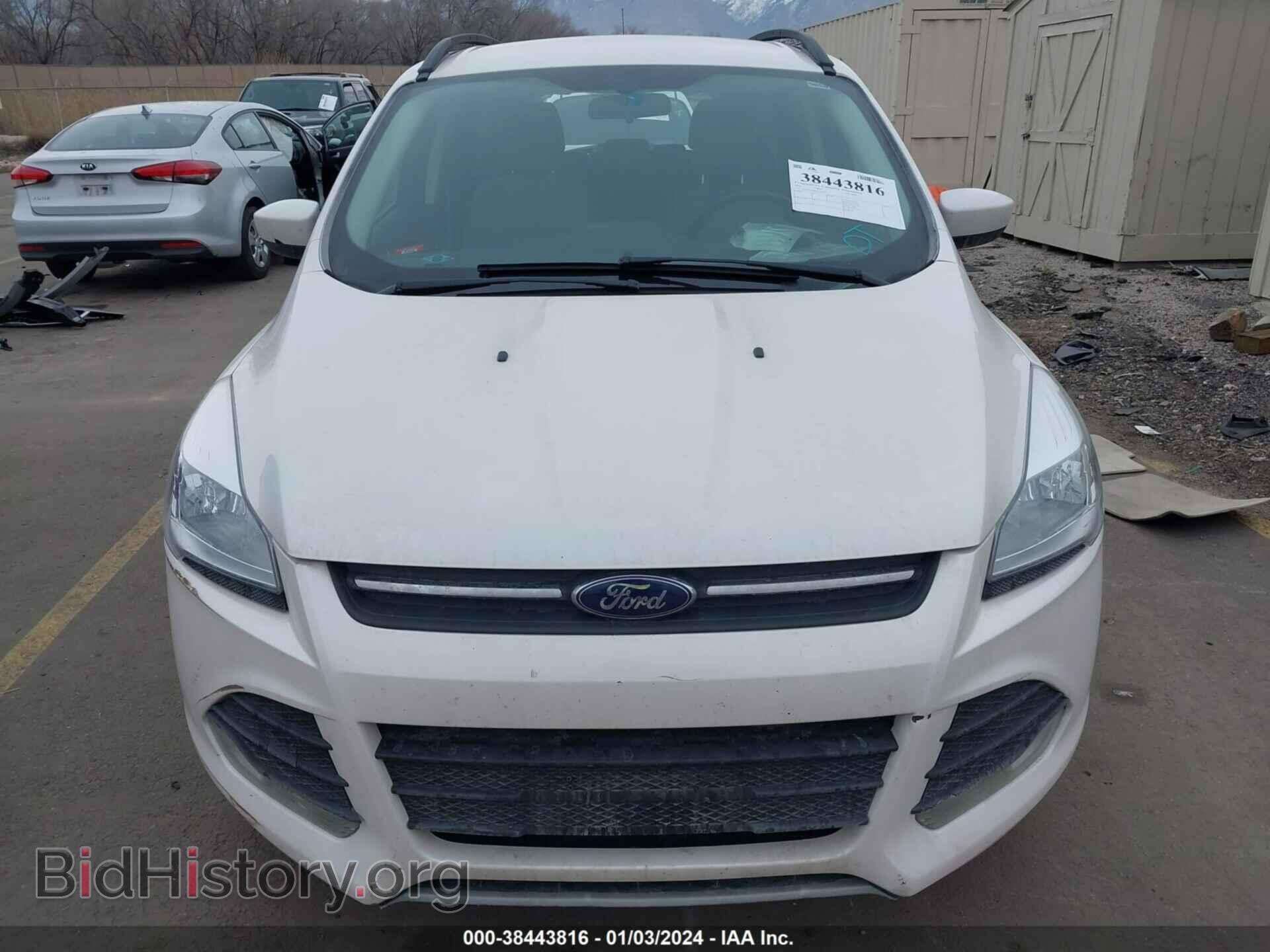 2014 FORD ESCAPE - VIN: 1FMCU0GX5EUC07371 - Фото 12