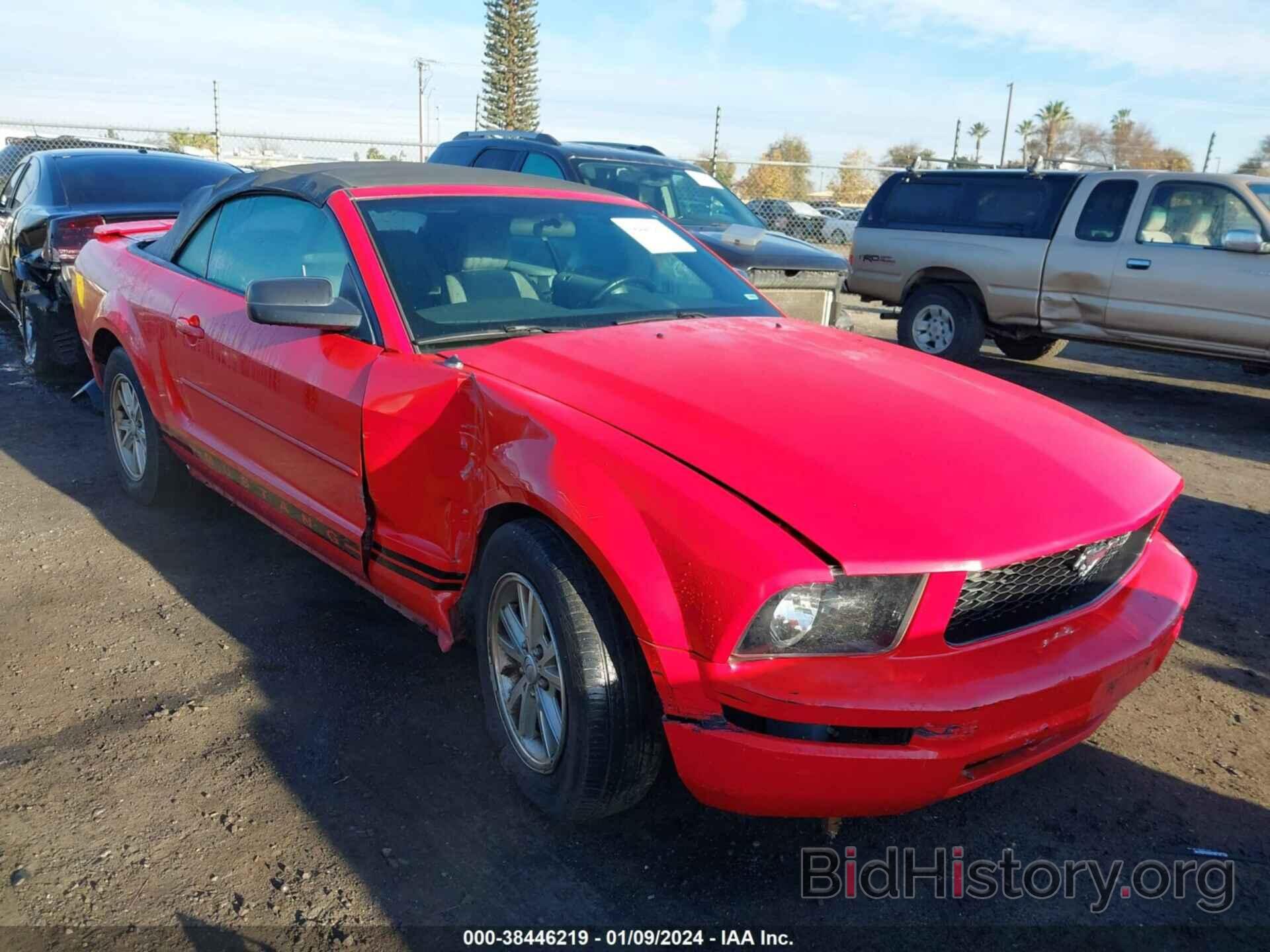 Photo 1ZVHT84N785138063 - FORD MUSTANG 2008