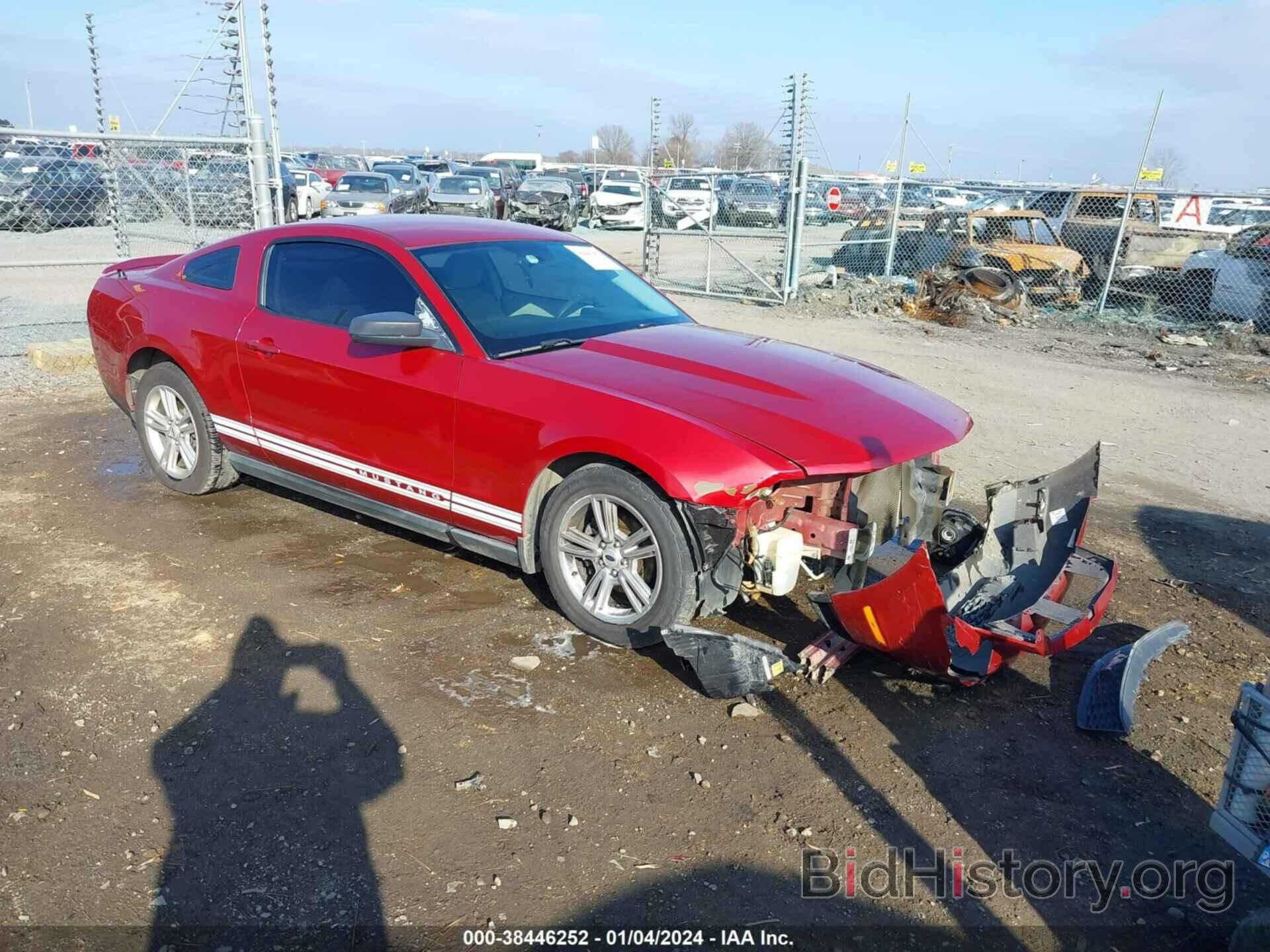 Photo 1ZVBP8AN3A5135097 - FORD MUSTANG 2010