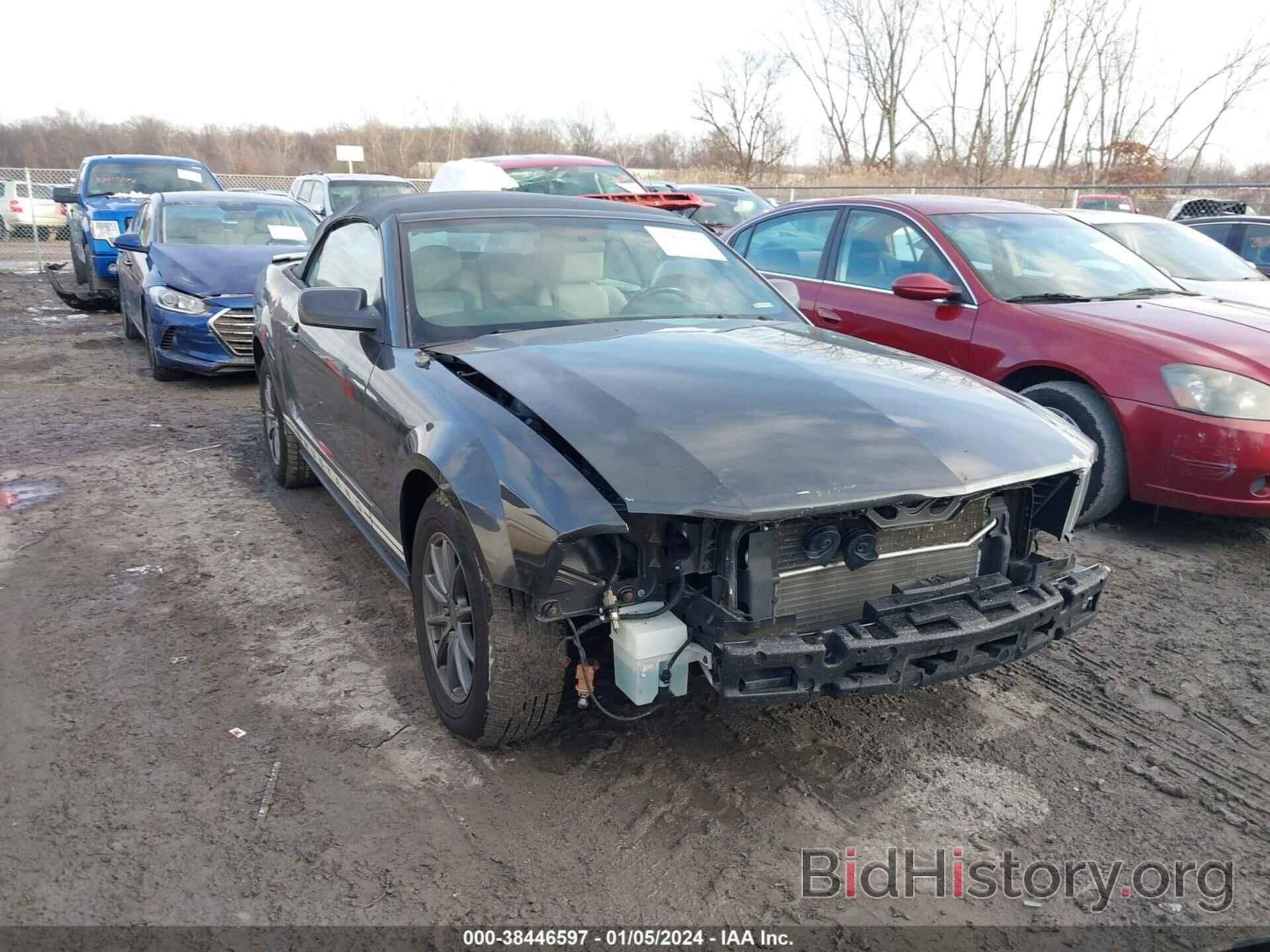 Photo 1ZVHT84N395108219 - FORD MUSTANG 2009