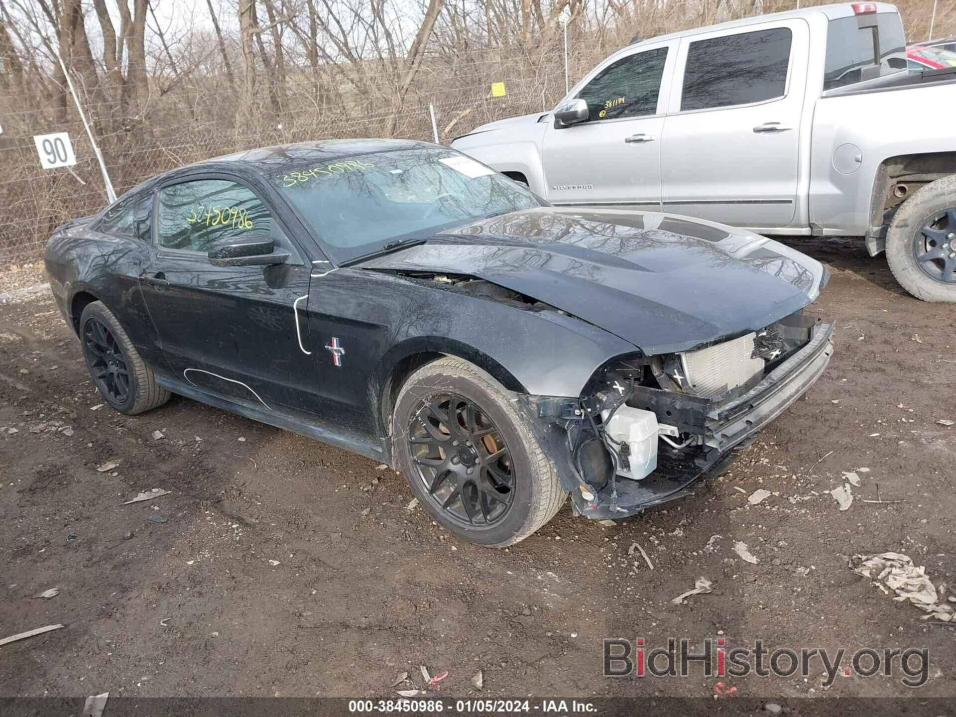 Photo 1ZVBP8AN2A5146124 - FORD MUSTANG 2010