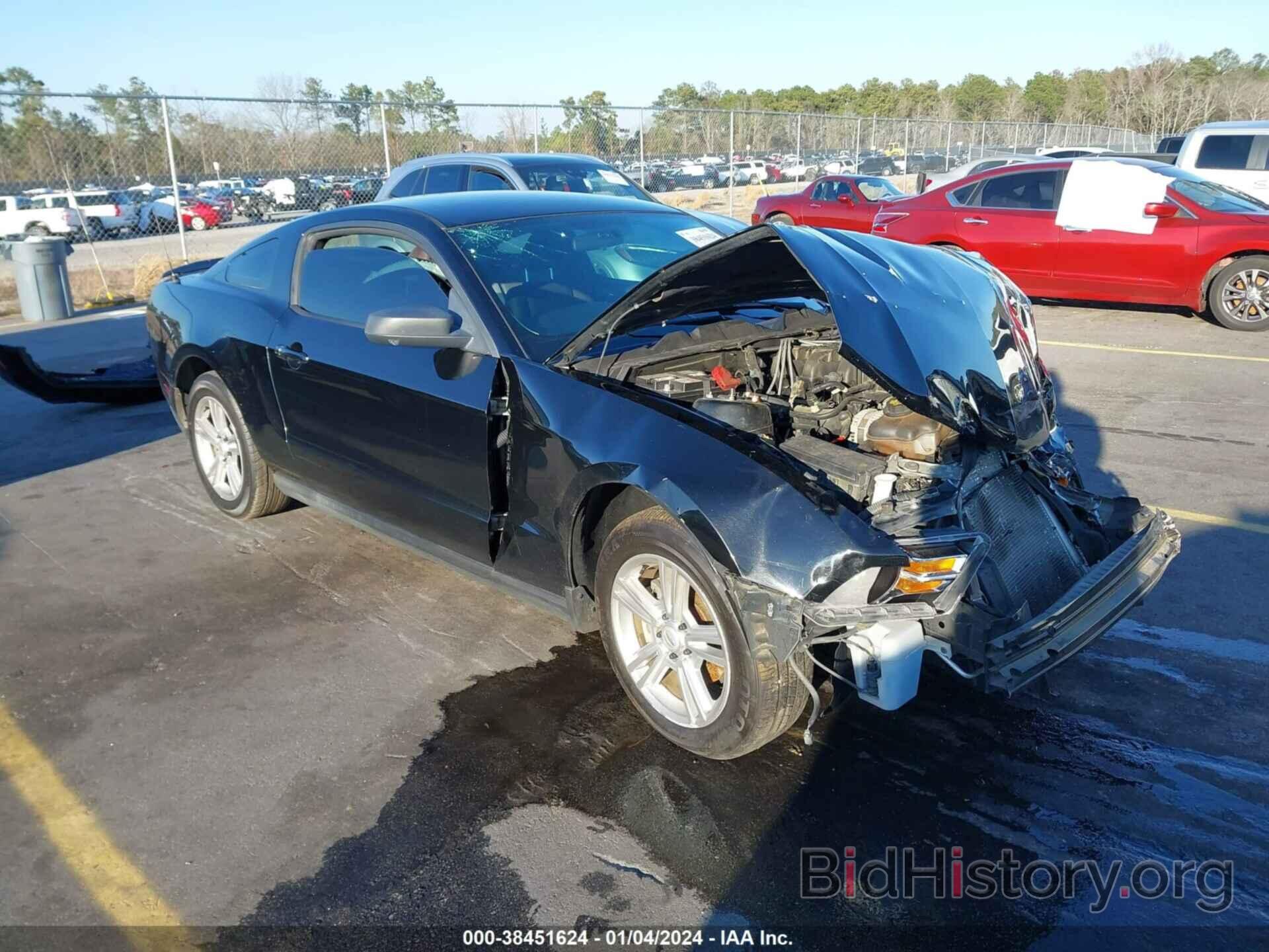 Photo 1ZVBP8ANXA5180649 - FORD MUSTANG 2010