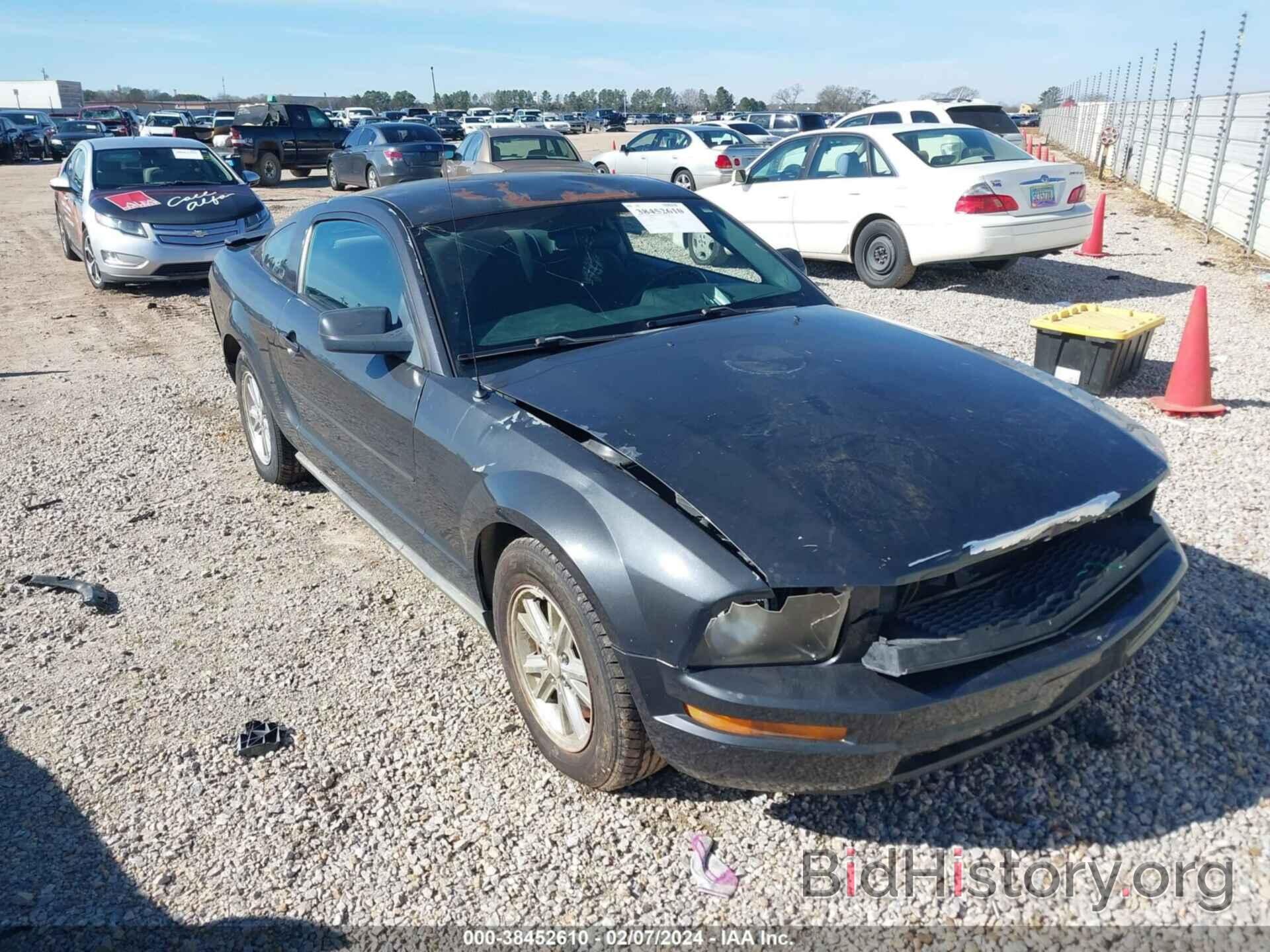Photo 1ZVFT80N675299032 - FORD MUSTANG 2007