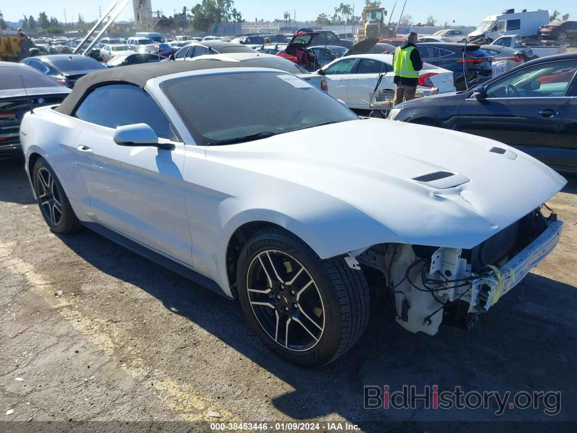 Photo 1FATP8UHXK5131438 - FORD MUSTANG 2019