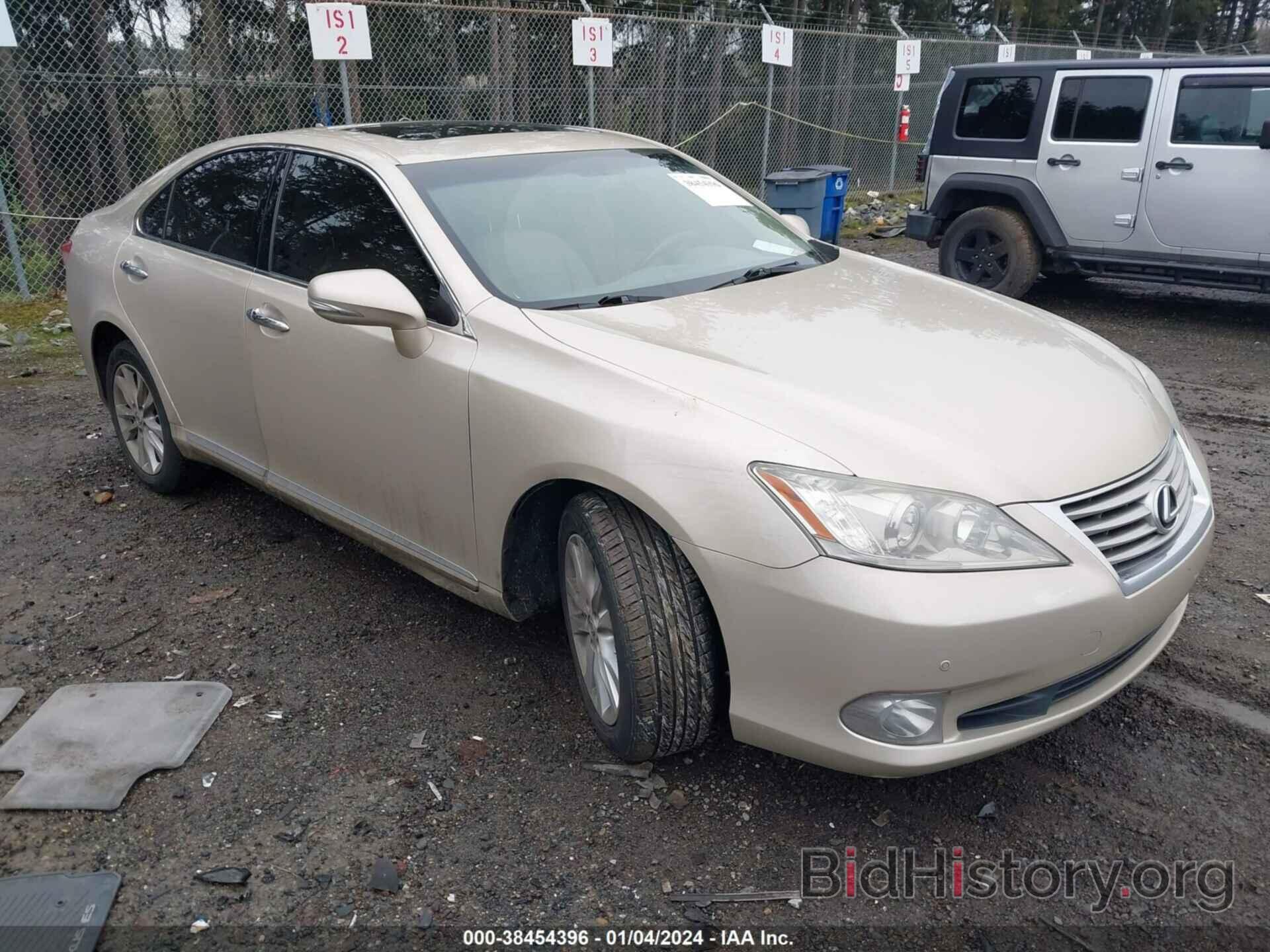 Фотография JTHBK1EG5A2361016 - LEXUS ES 350 2010