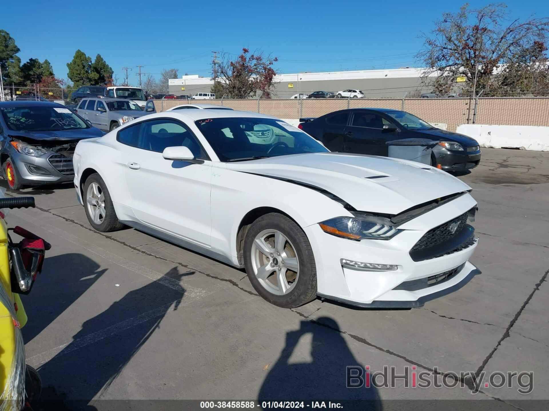 Photo 1FA6P8TH0K5175821 - FORD MUSTANG 2019