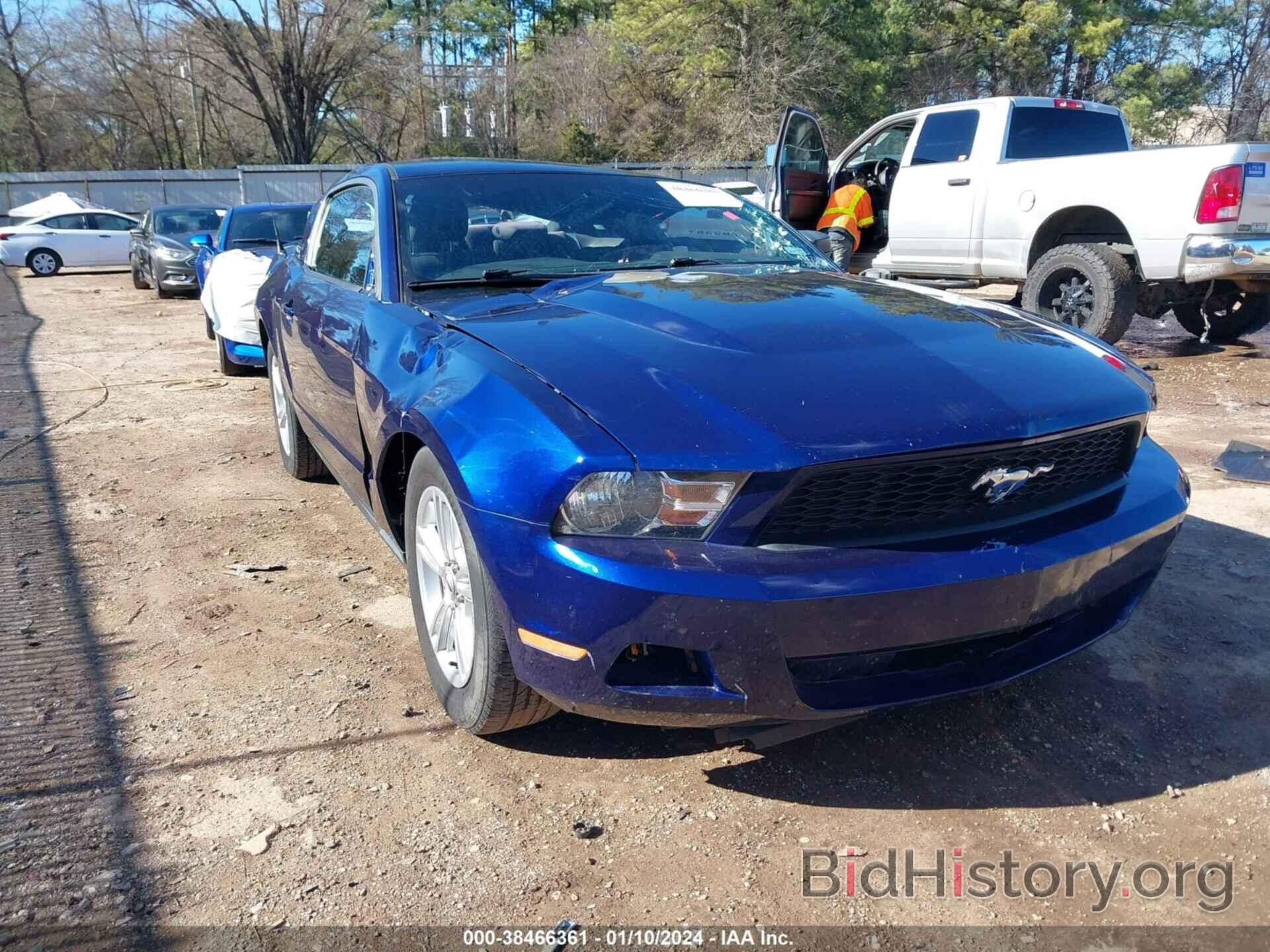 Photo 1ZVBP8AMXC5223784 - FORD MUSTANG 2012
