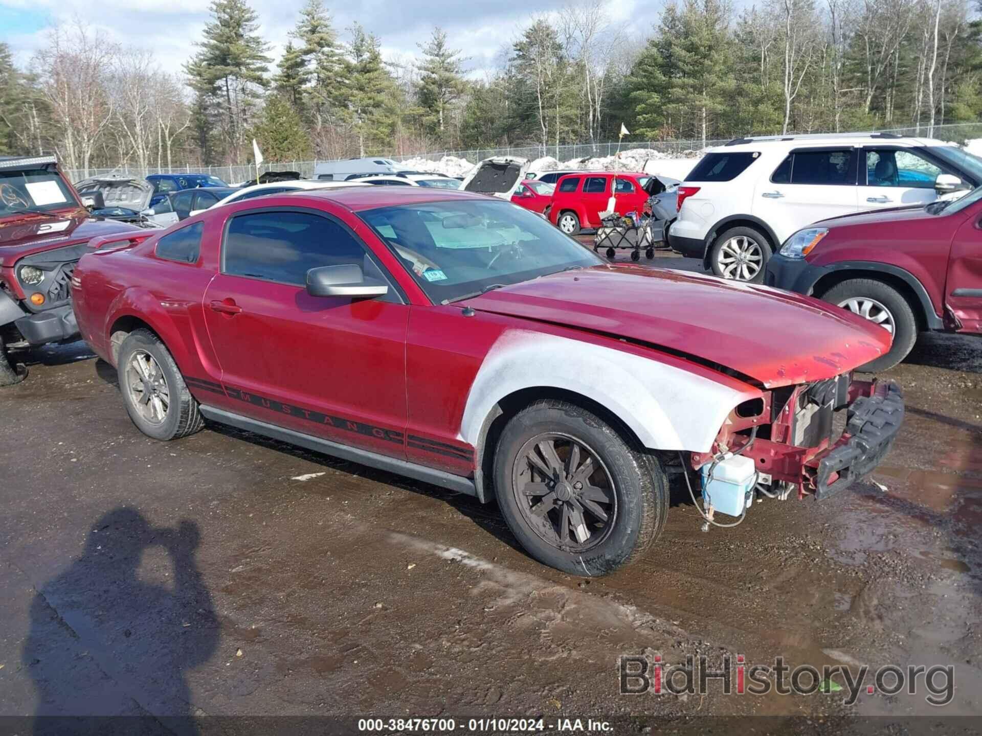 Photo 1ZVFT80N365263345 - FORD MUSTANG 2006