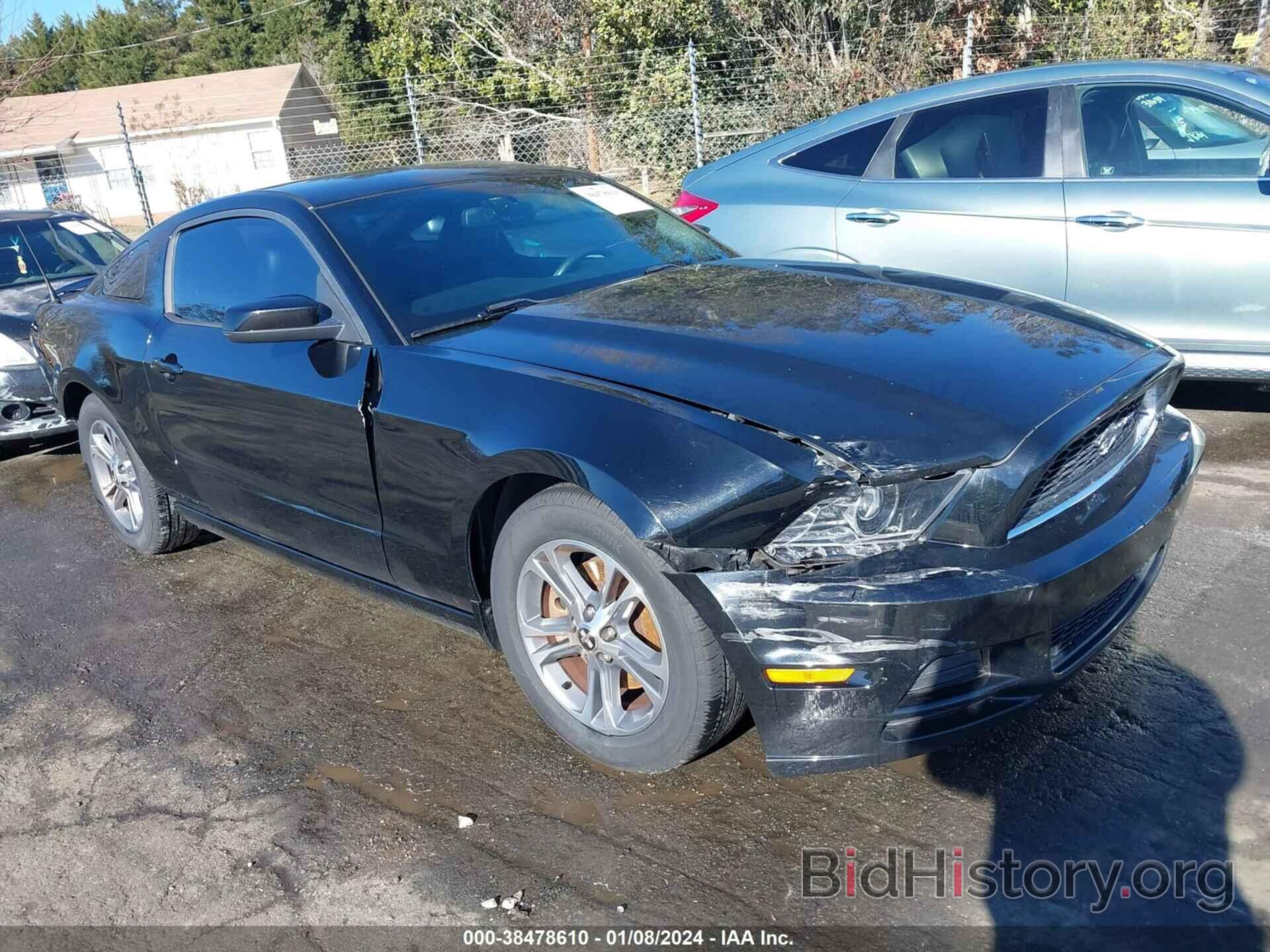 Photo 1ZVBP8AM9E5281582 - FORD MUSTANG 2014