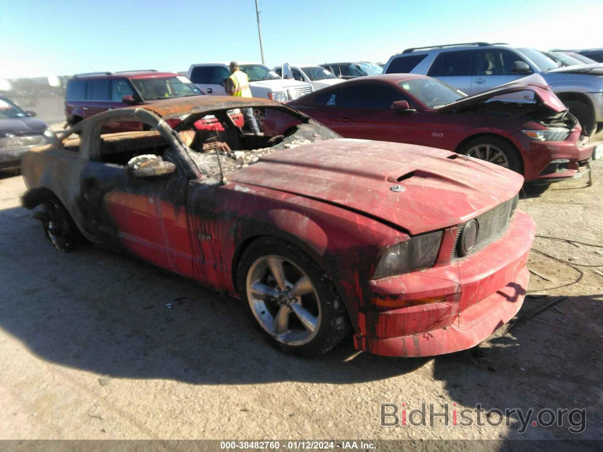 Photo 1ZVFT82H365227825 - FORD MUSTANG 2006