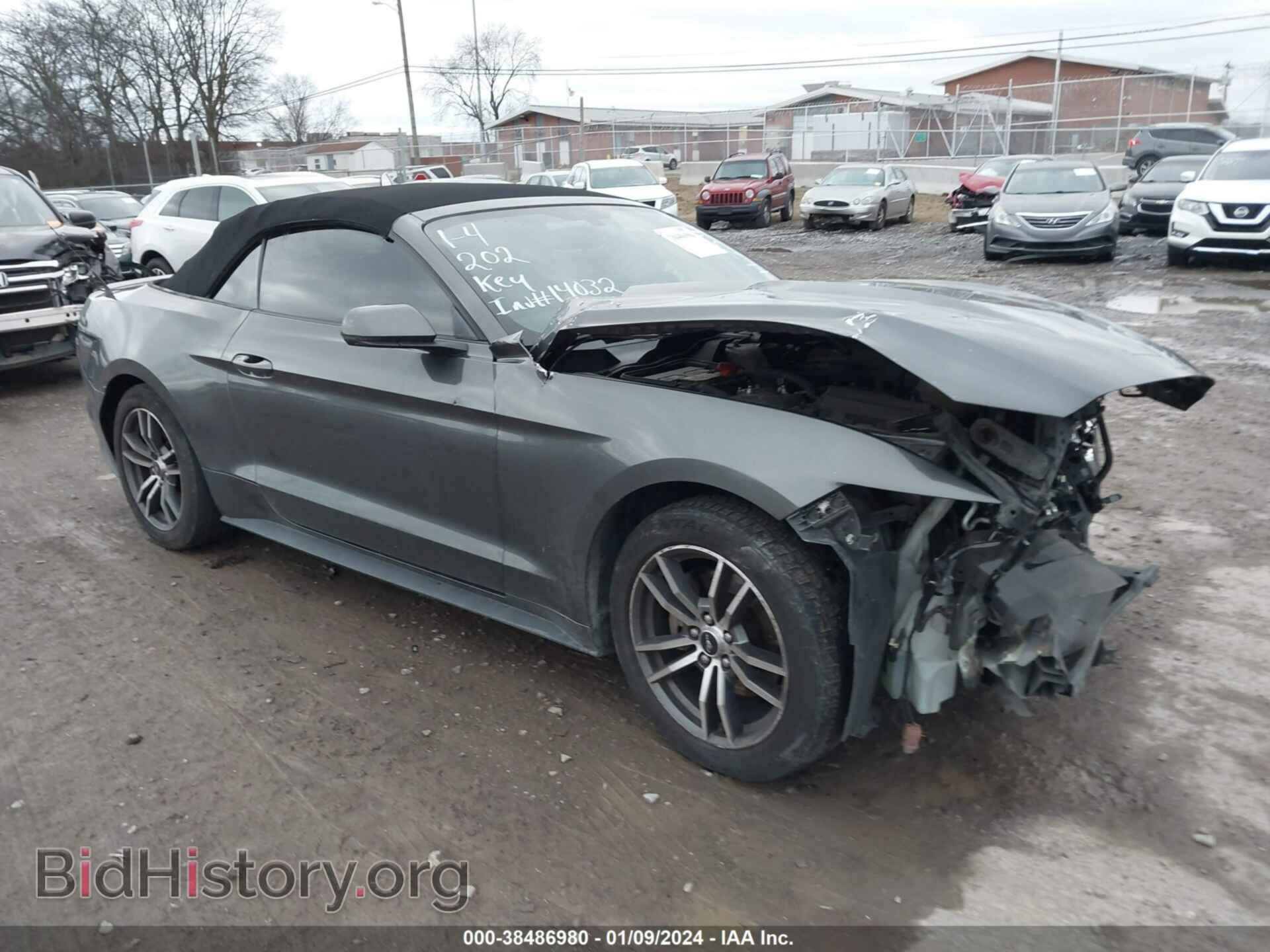 Photo 1FATP8UH6H5287596 - FORD MUSTANG 2017