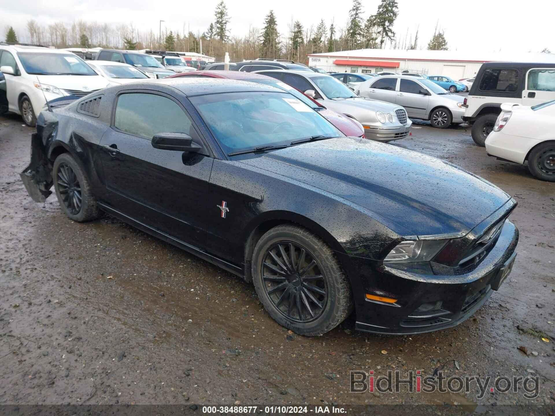 Photo 1ZVBP8AM5E5307787 - FORD MUSTANG 2014