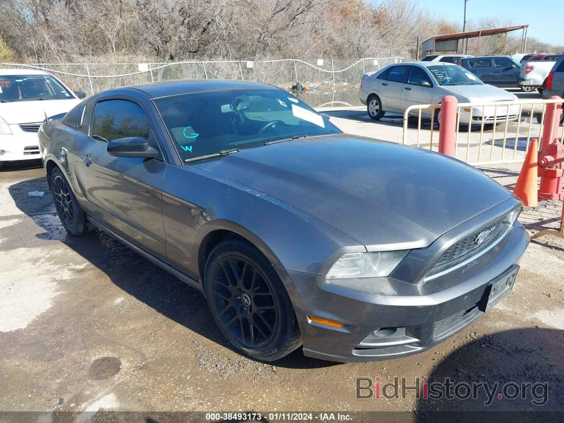 Photo 1ZVBP8AM9E5288189 - FORD MUSTANG 2014