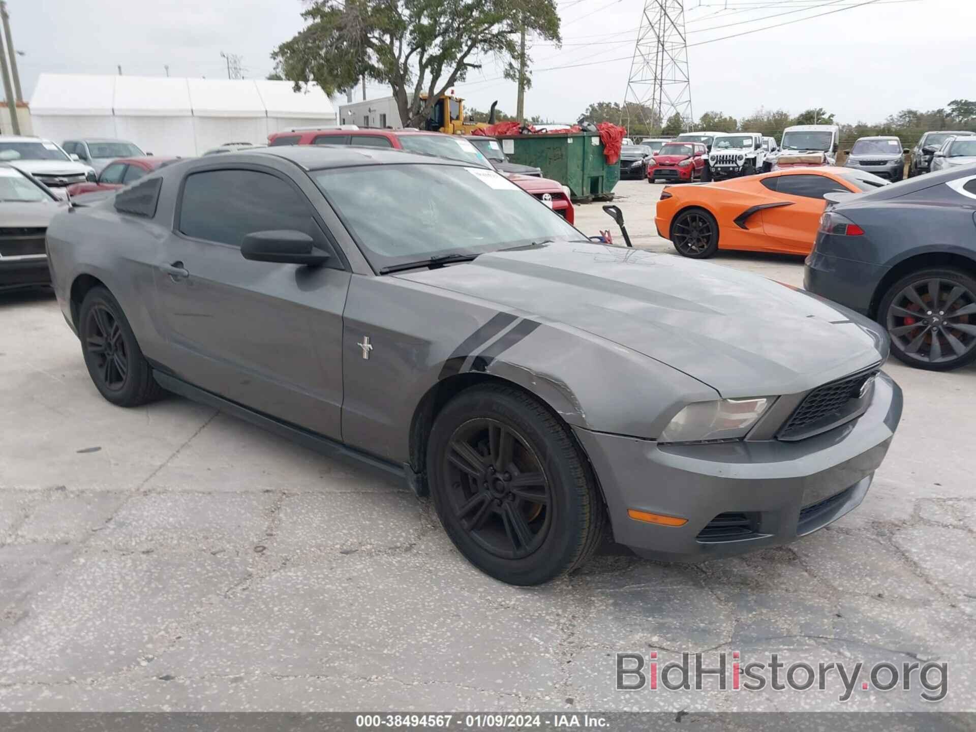 Photo 1ZVBP8AN0A5133291 - FORD MUSTANG 2010