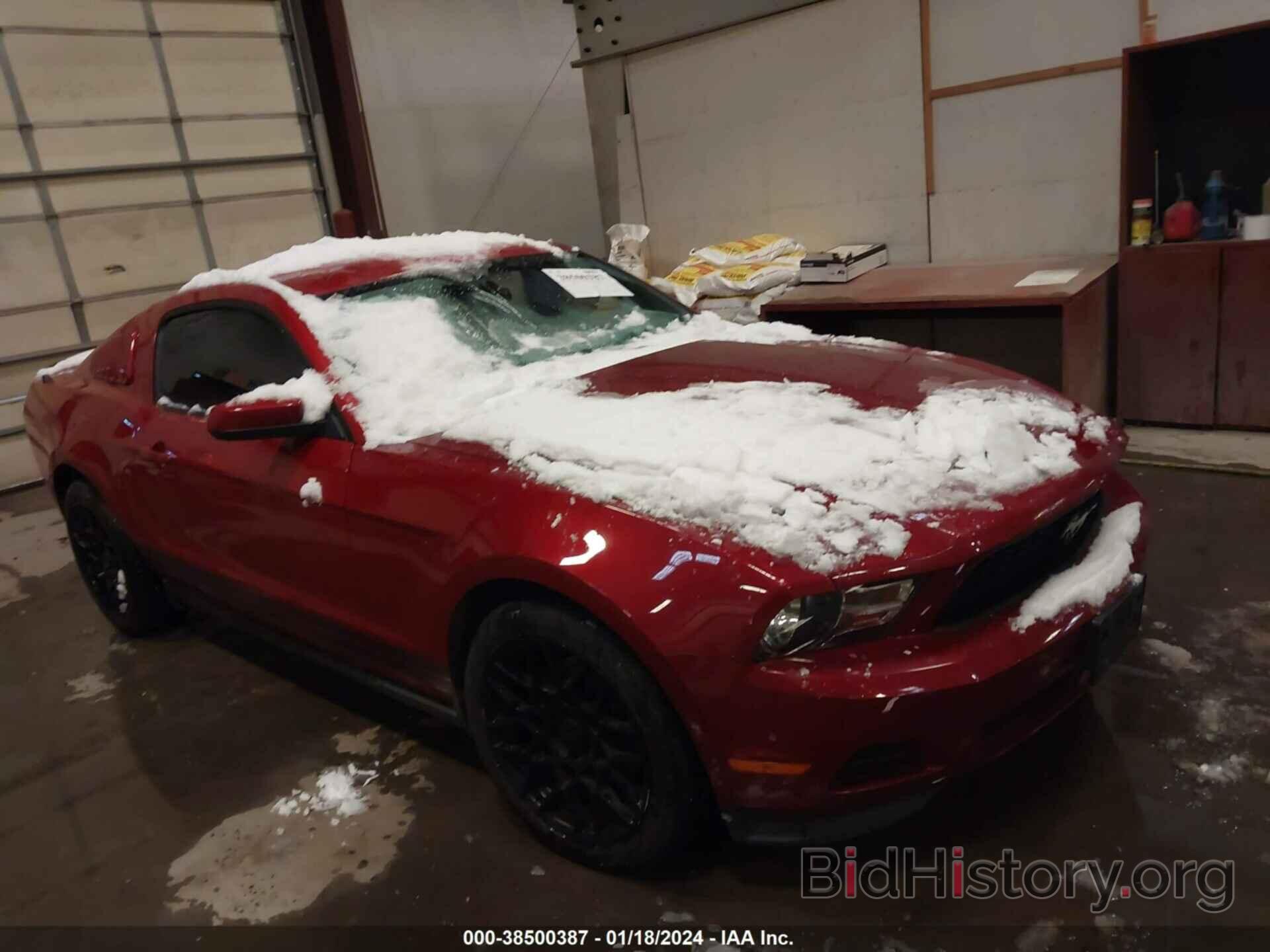 Photo 1ZVBP8AM5C5251539 - FORD MUSTANG 2012