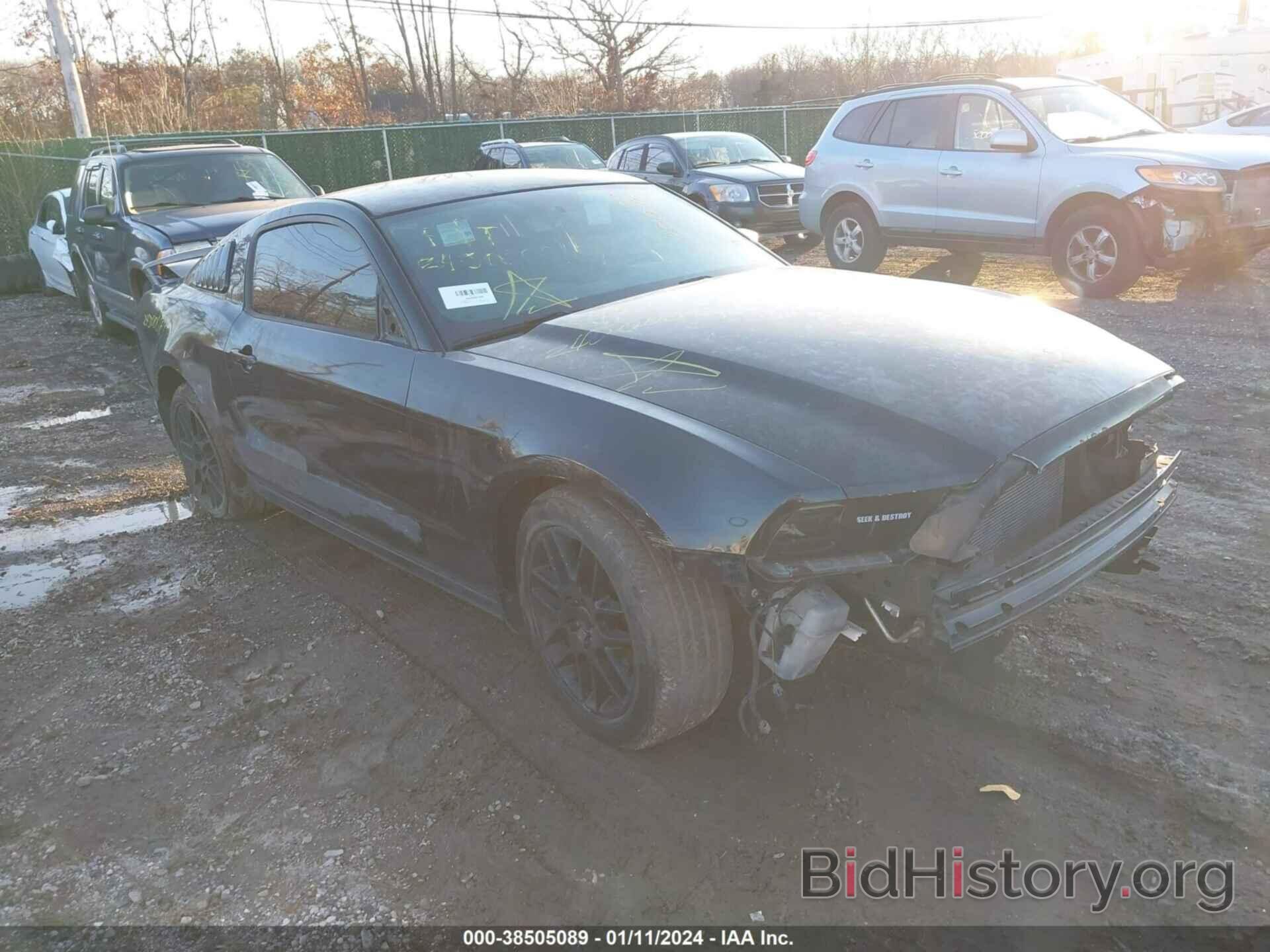 Photo 1ZVBP8AM6E5269180 - FORD MUSTANG 2014