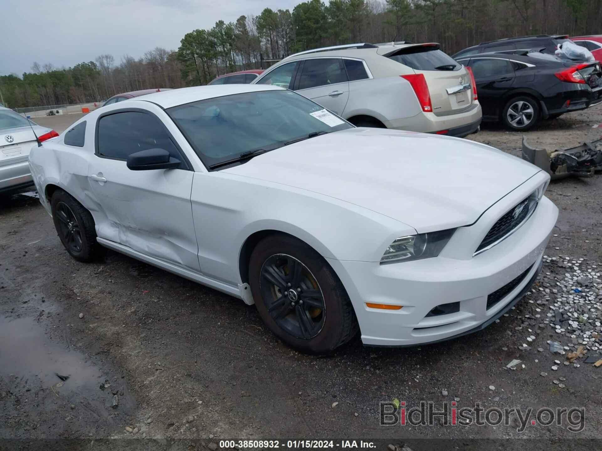Photo 1ZVBP8AM2E5276451 - FORD MUSTANG 2014