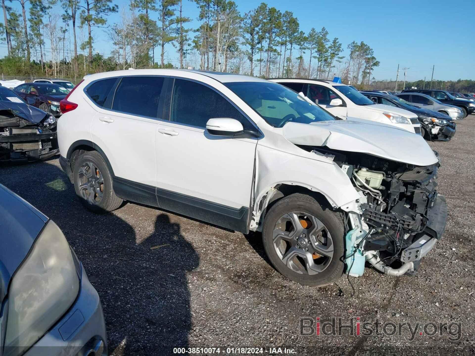 Photo 5J6RW1H51KA007719 - HONDA CR-V 2019