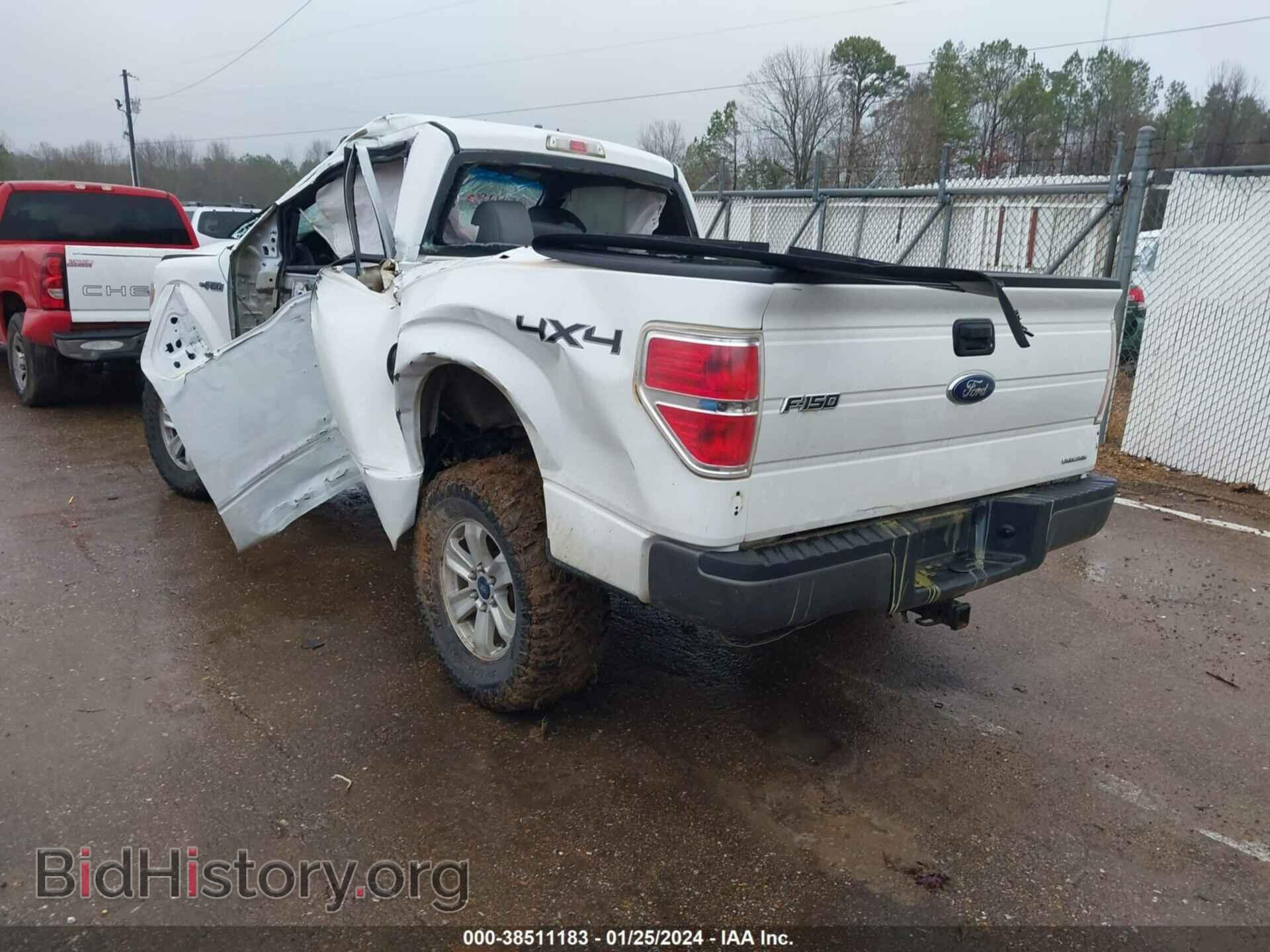 2013 FORD F-150 - VIN: 1FTMF1EM1DFD11764 - Фото 3