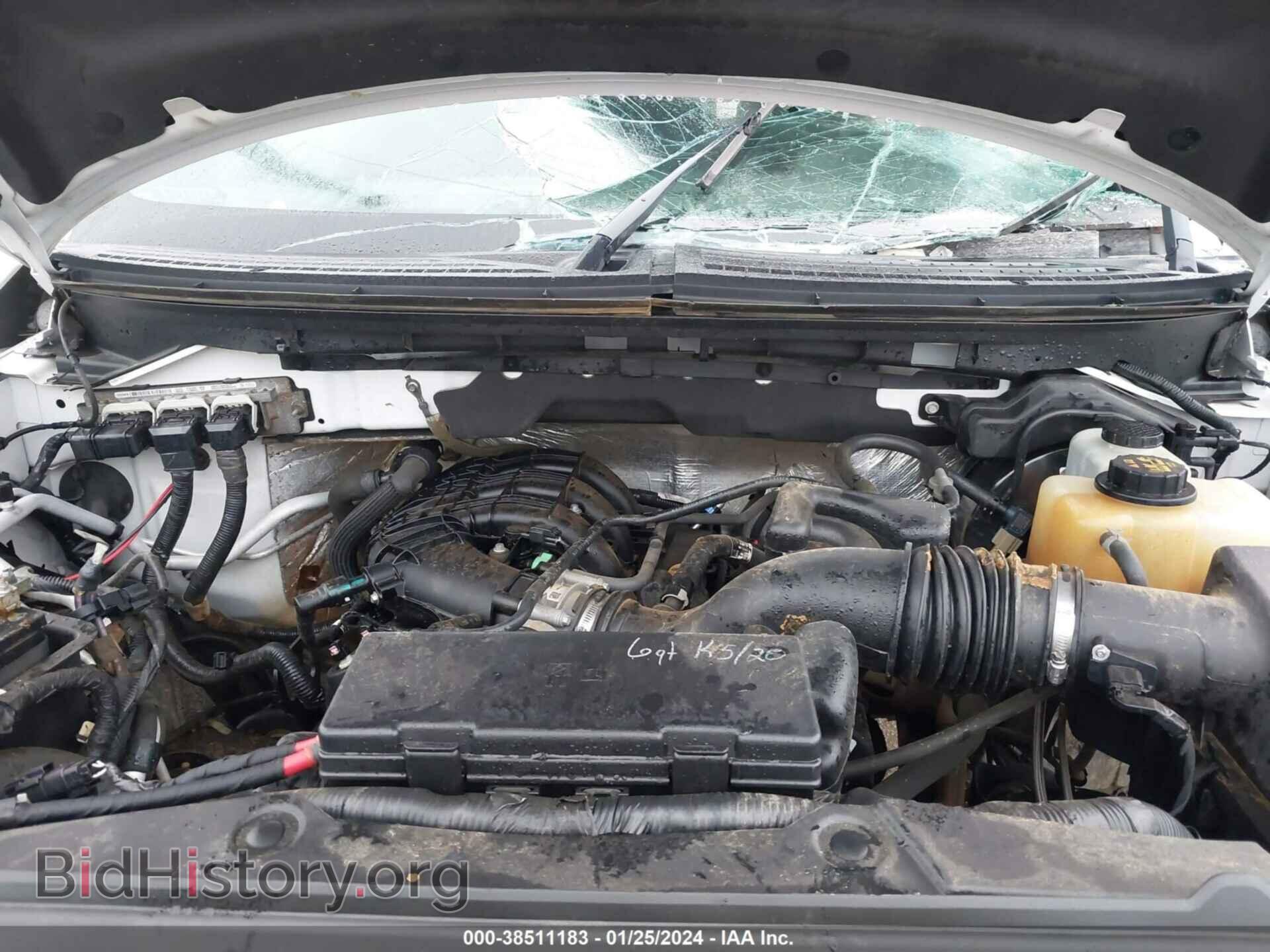 2013 FORD F-150 - VIN: 1FTMF1EM1DFD11764 - Фото 10