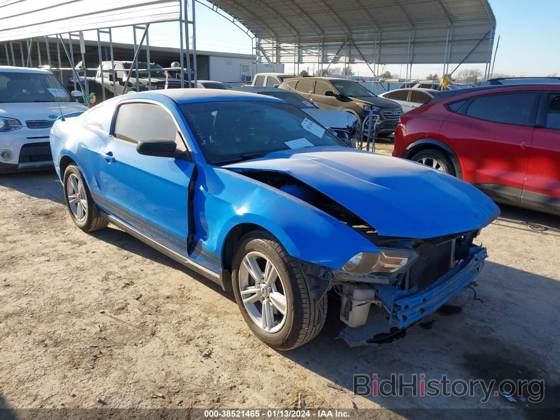 Photo 1ZVBP8AM0B5153565 - FORD MUSTANG 2011