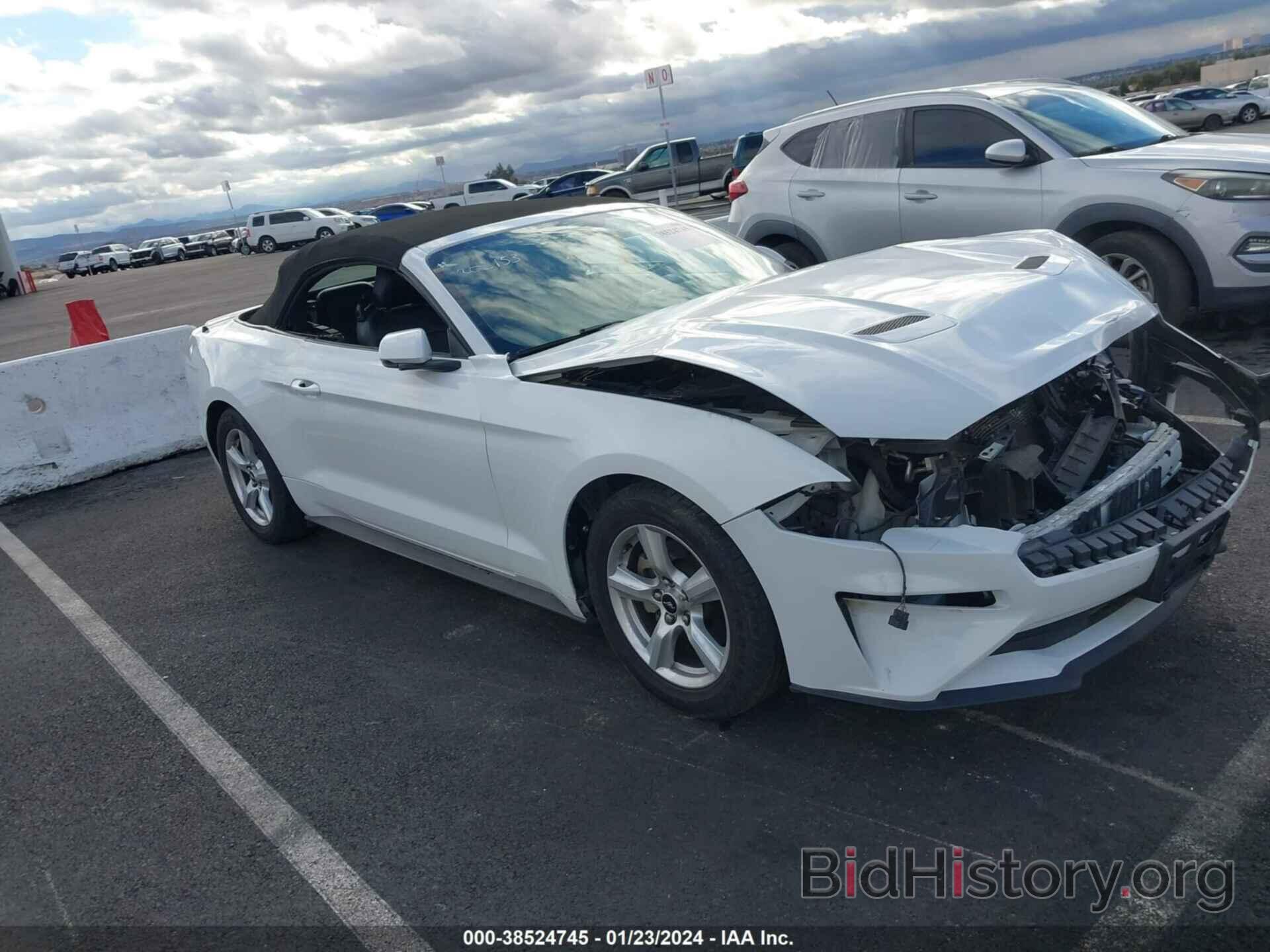 Photo 1FATP8UH6K5182046 - FORD MUSTANG 2019