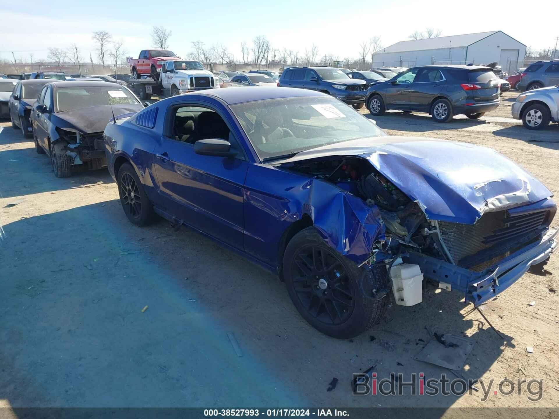 Photo 1ZVBP8AM0E5249491 - FORD MUSTANG 2014