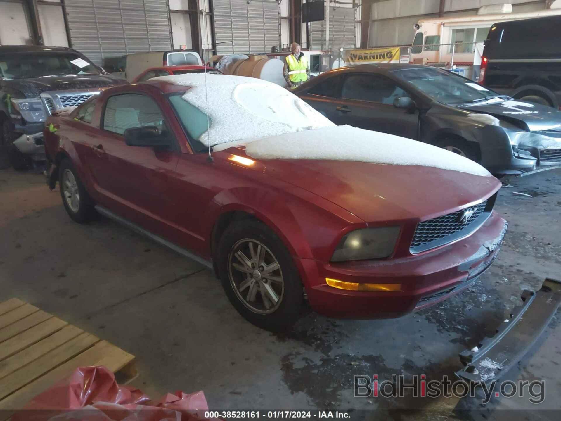 Photo 1ZVFT80N675318291 - FORD MUSTANG 2007
