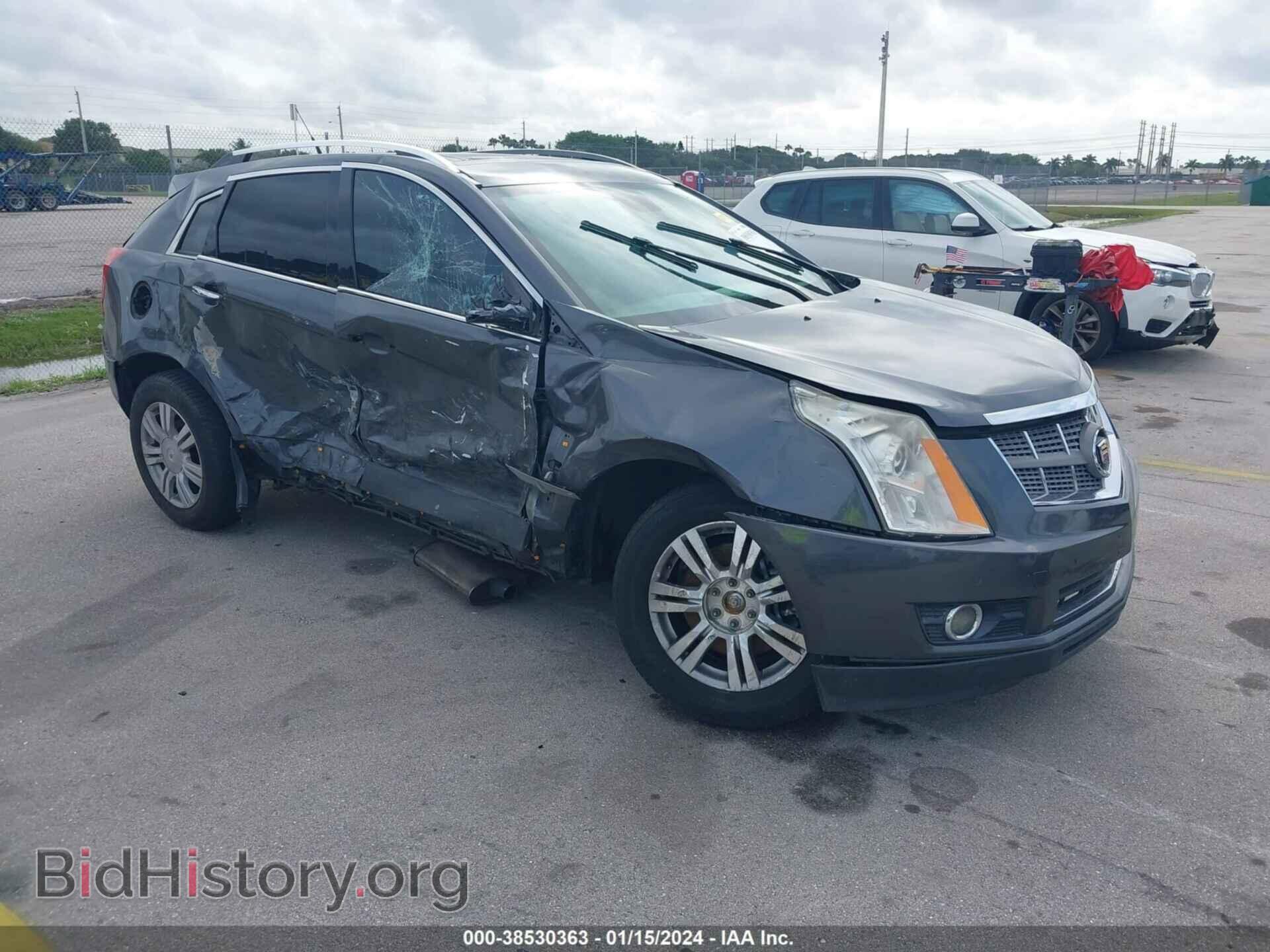 Photo 3GYFNDEY7AS596231 - CADILLAC SRX 2010