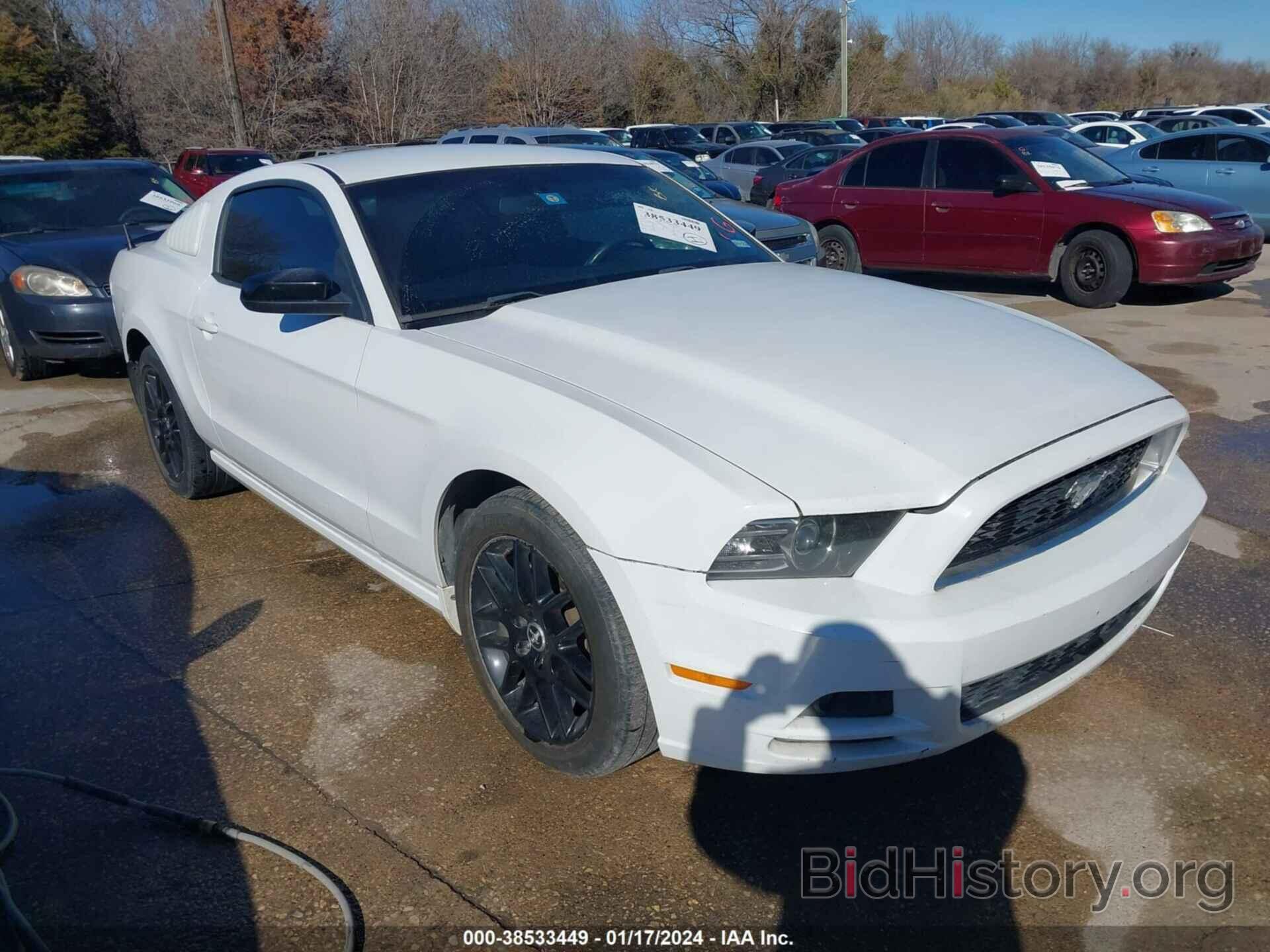 Photo 1ZVBP8AM1E5296304 - FORD MUSTANG 2014
