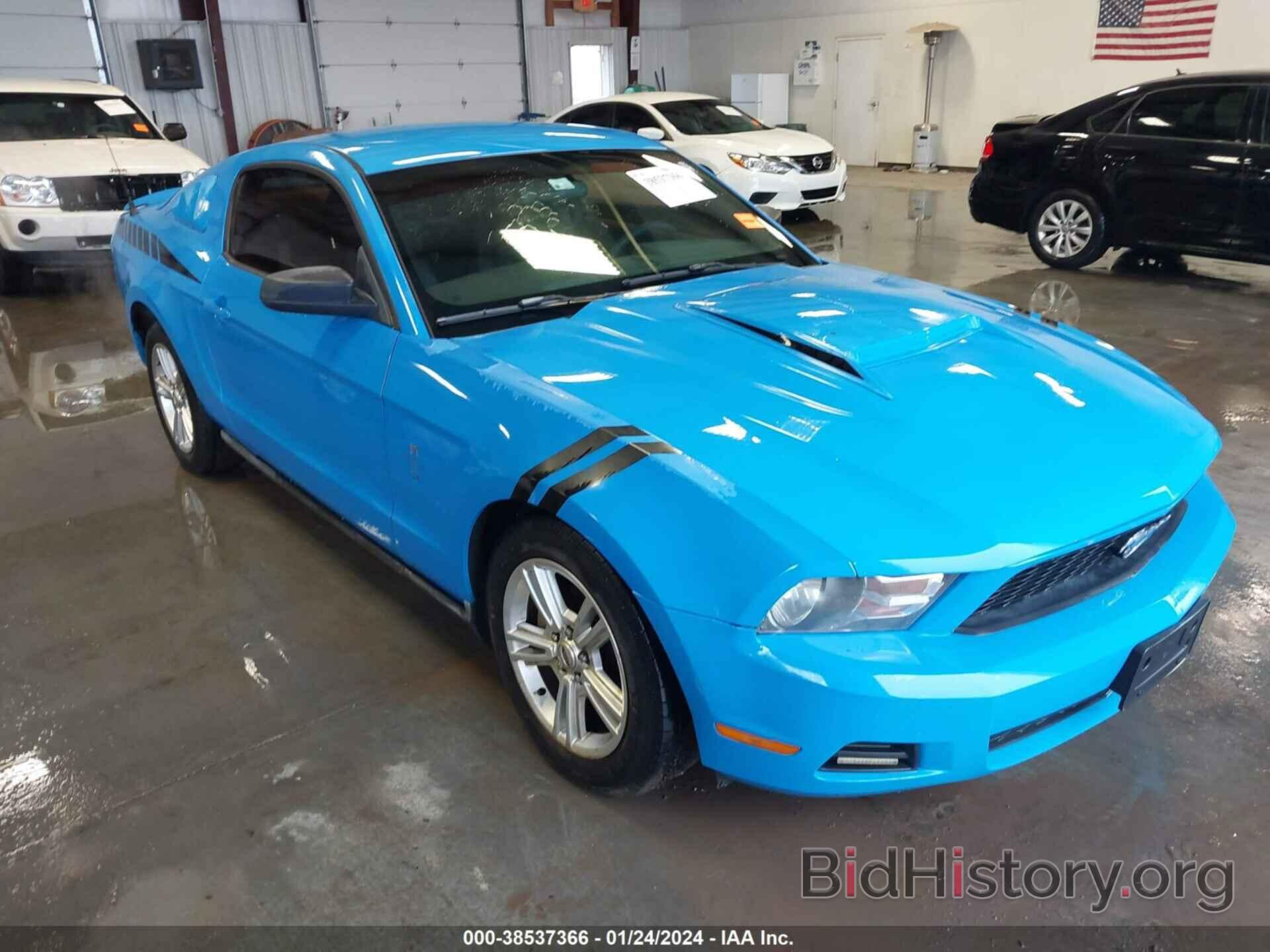 Photo 1ZVBP8AN4A5142818 - FORD MUSTANG 2010